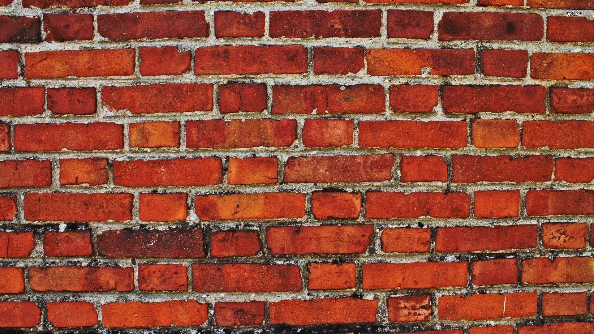 Red brick wall texture HD Wallpaper