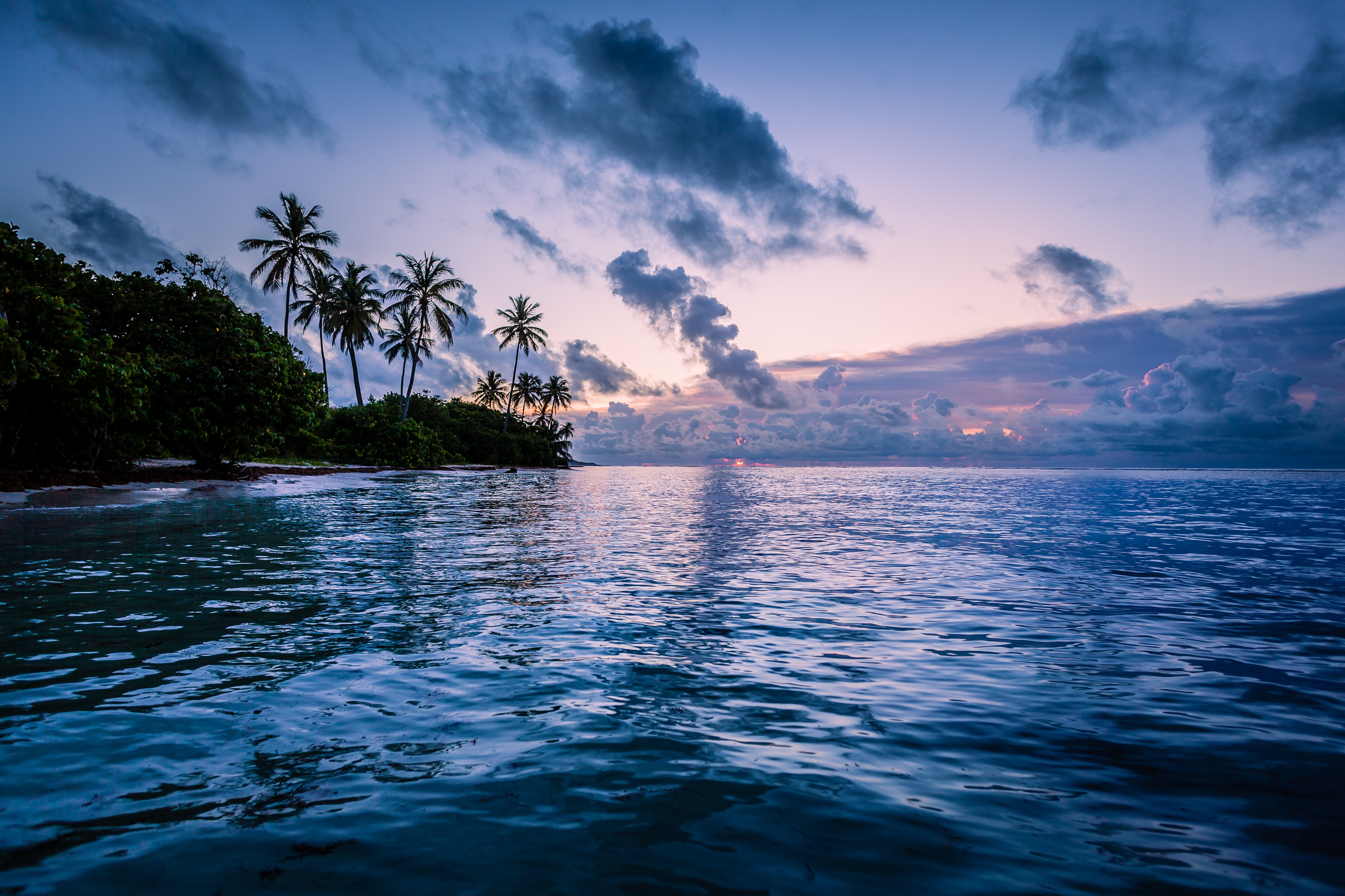 Sunrise over the Caribbean Sea with Palm Trees in Guadeloupe HD Wallpaper