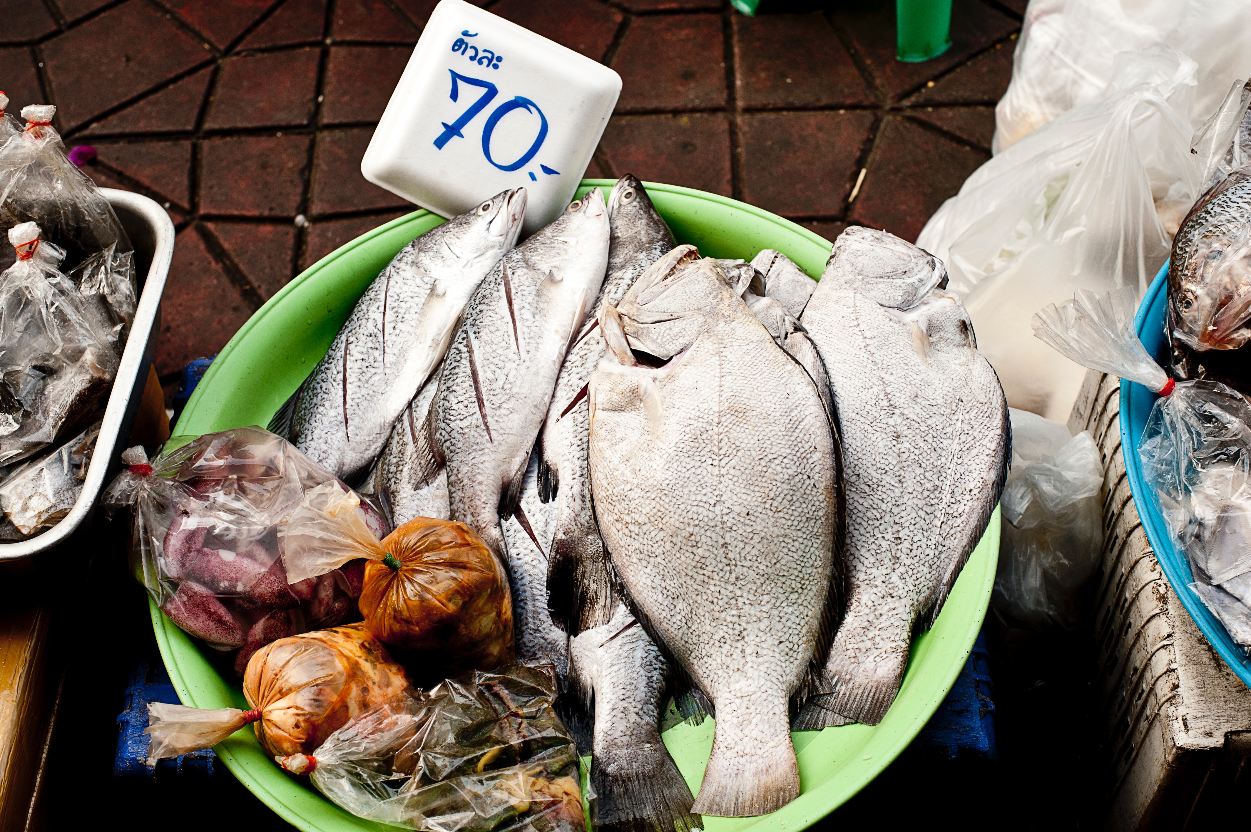 Fresh fish for sale at a market with a price sign HD Wallpaper