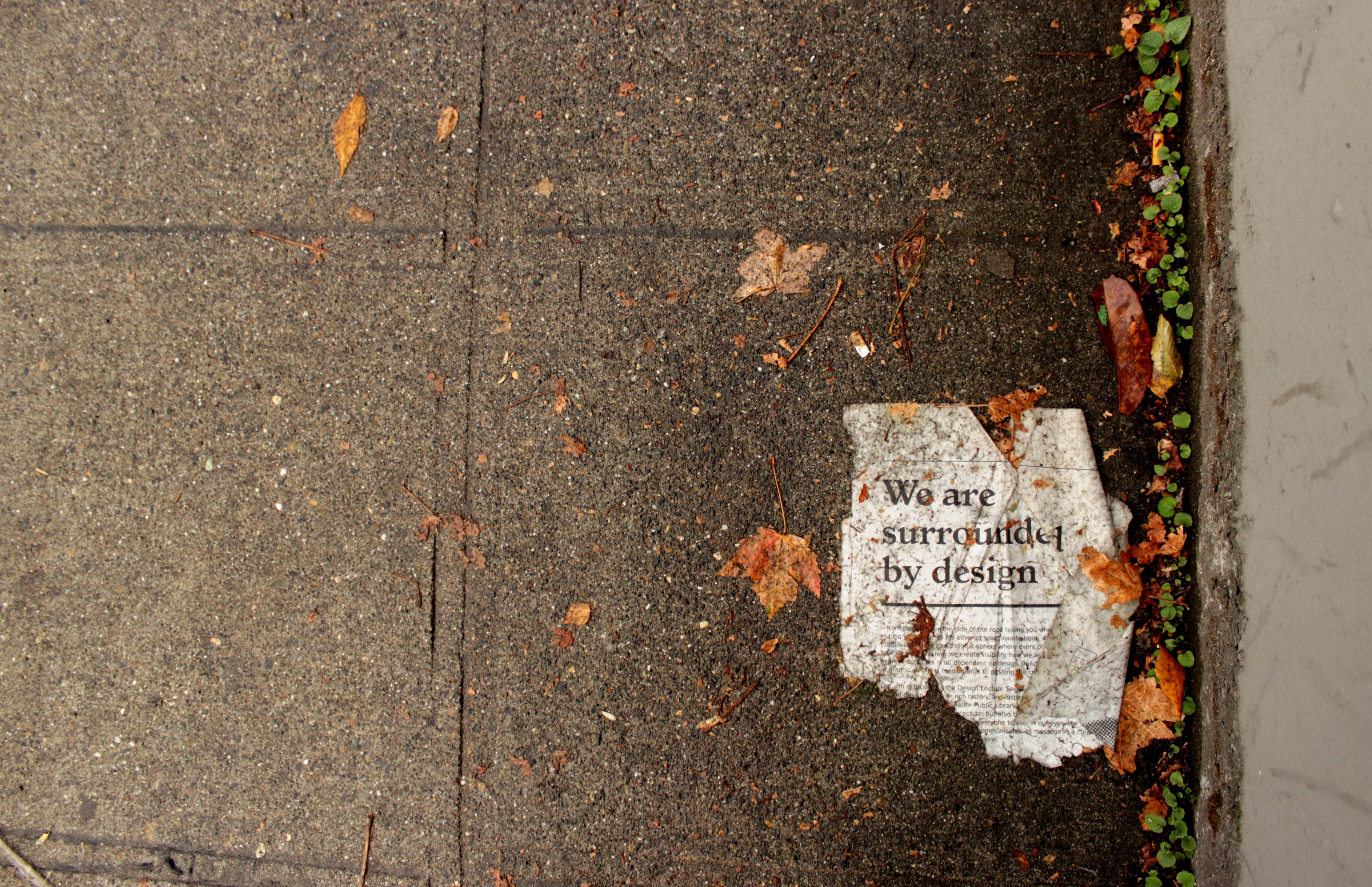 Torn newspaper clipping on a sidewalk with leaves HD Wallpaper