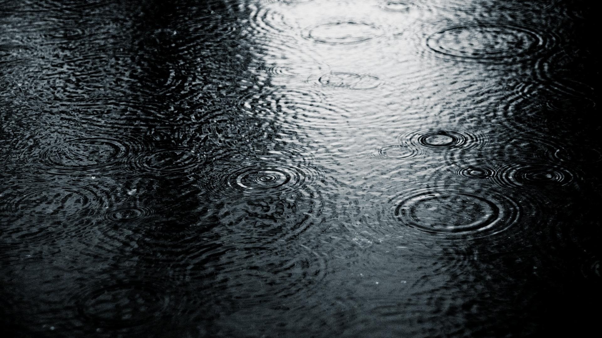 Raindrops creating ripples on dark water surface HD Wallpaper
