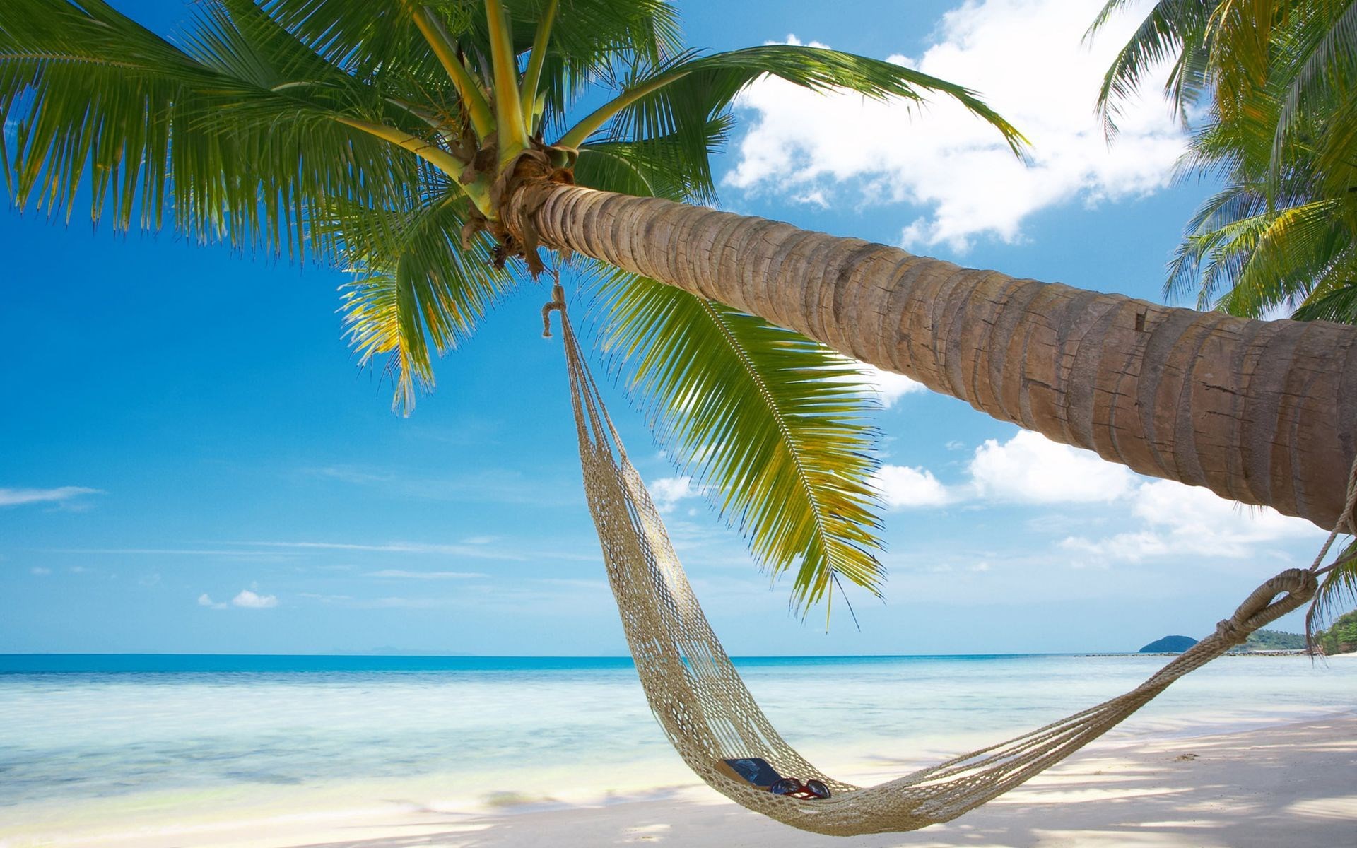 Hammock on a Palm Tree Beach HD Wallpaper