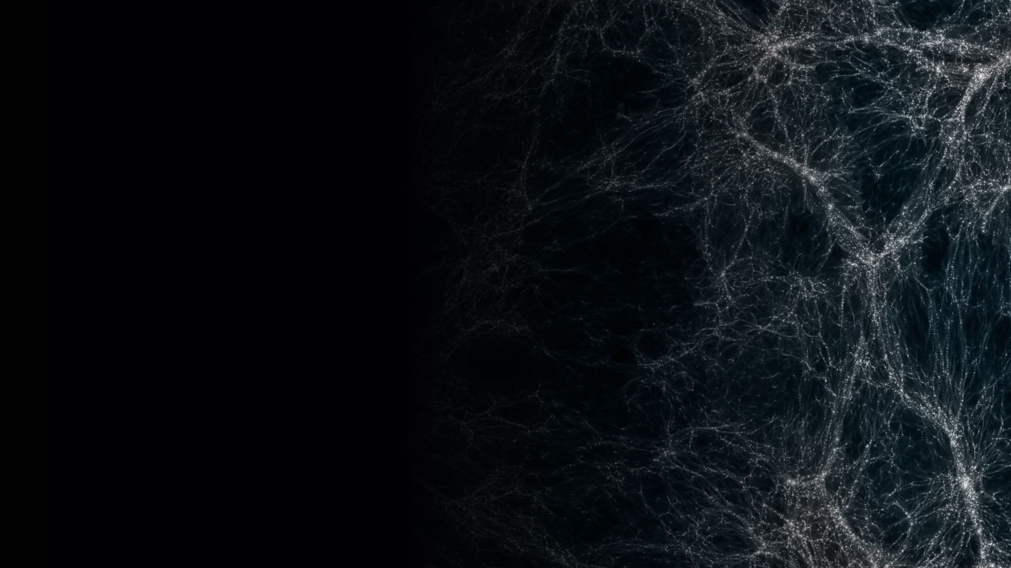 Cosmic web simulation with dark background HD Wallpaper