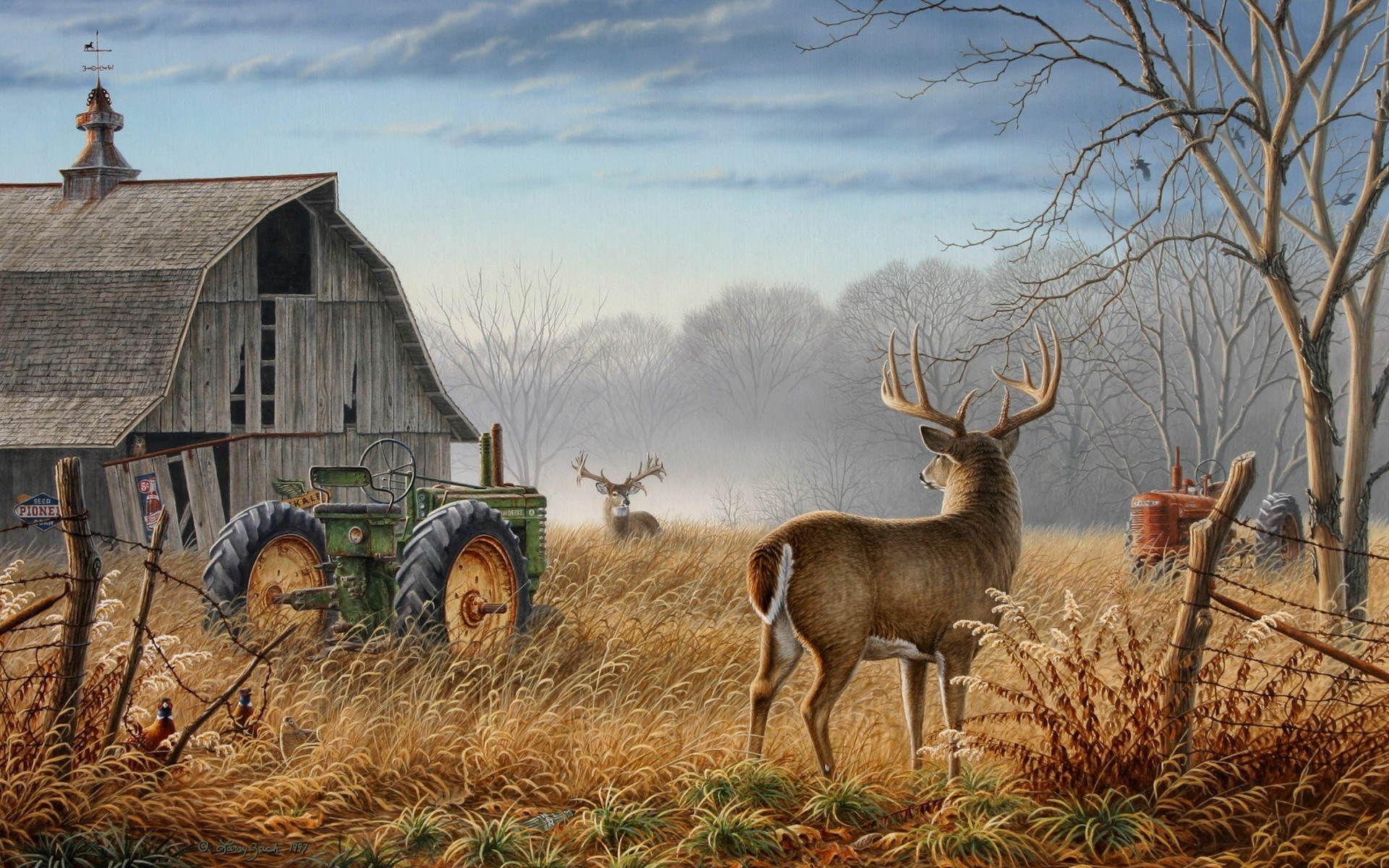 Deer near a barn and tractor HD Wallpaper