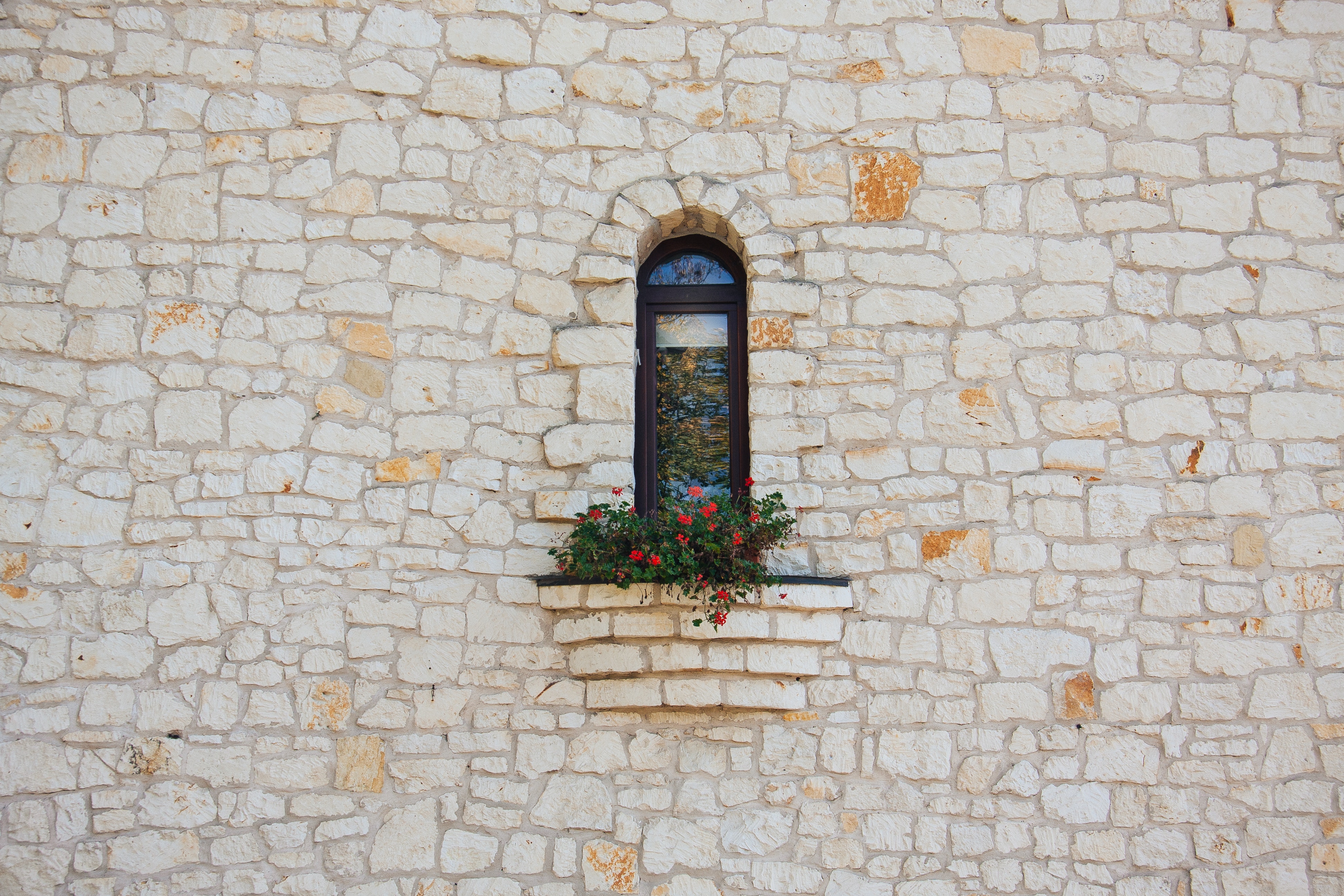 Arched window with flowers on a stone wall HD Wallpaper