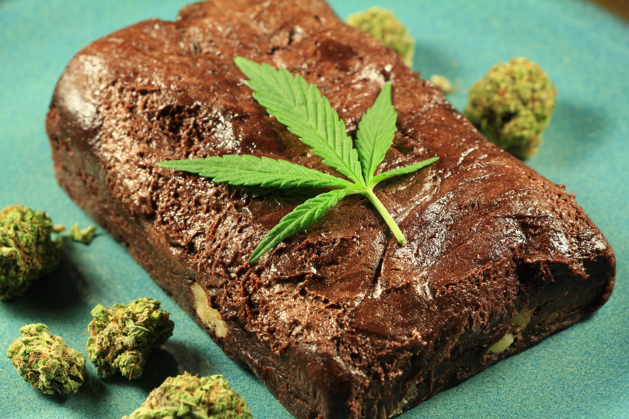 Chocolate brownie with marijuana leaf and buds HD Wallpaper