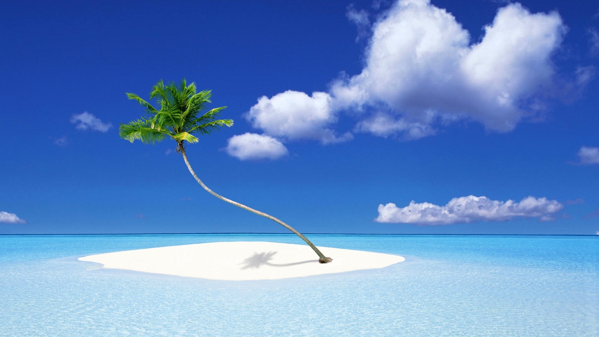 Palm tree on a small island in the ocean HD Wallpaper