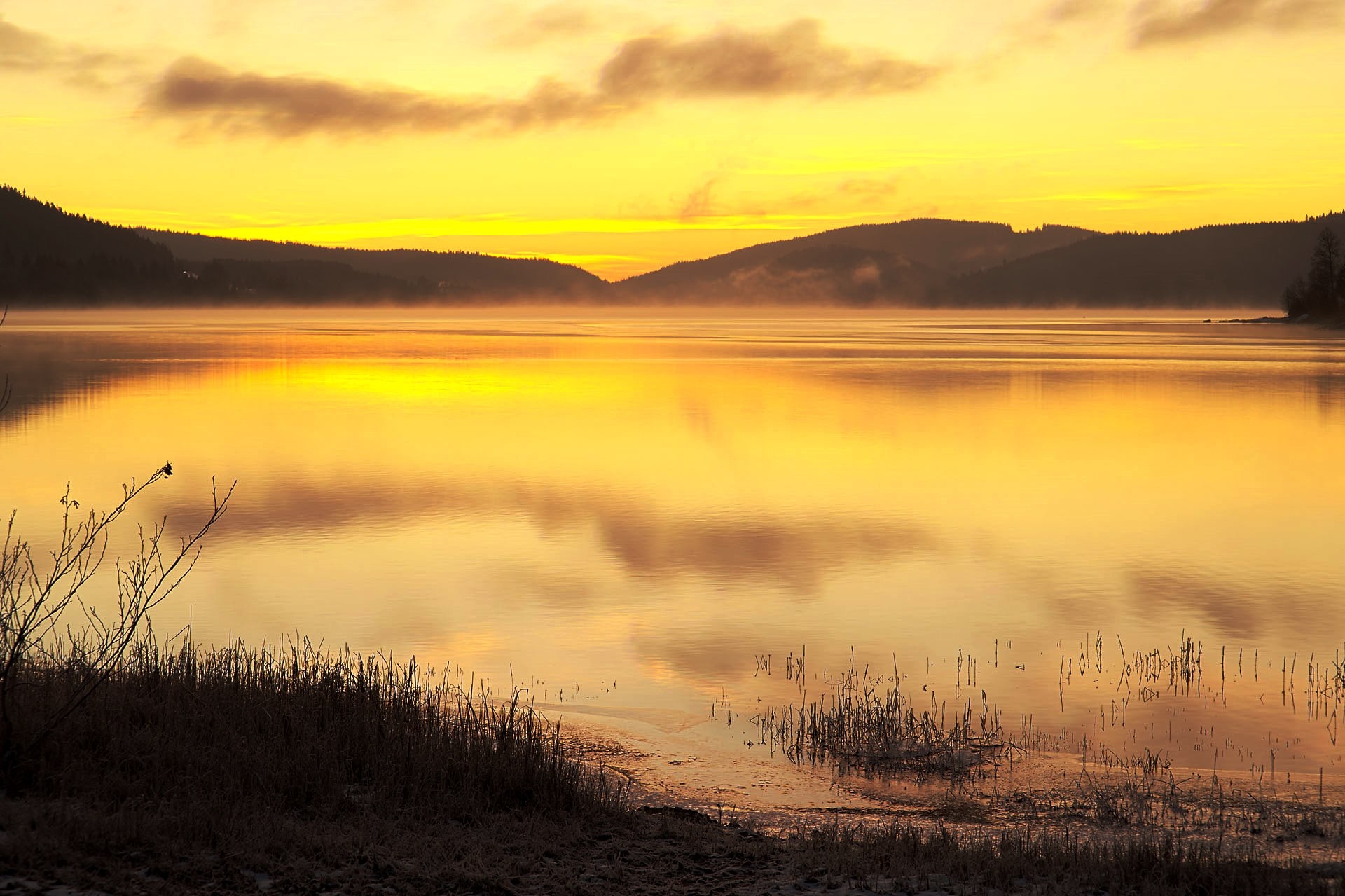 Yellow sunrise over a misty lake with reflections HD Wallpaper