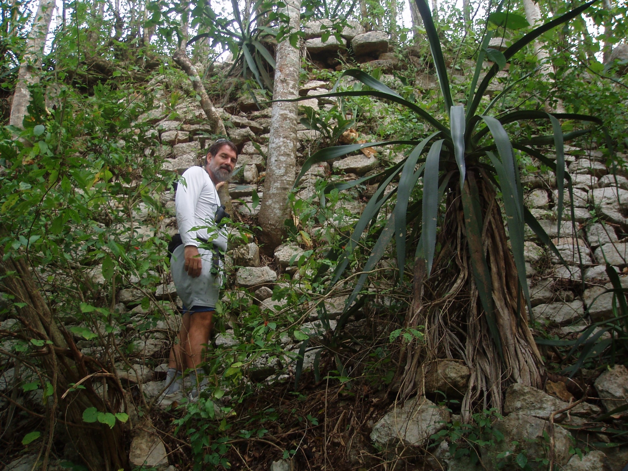 Man standing near ancient stone wall in jungle HD Wallpaper