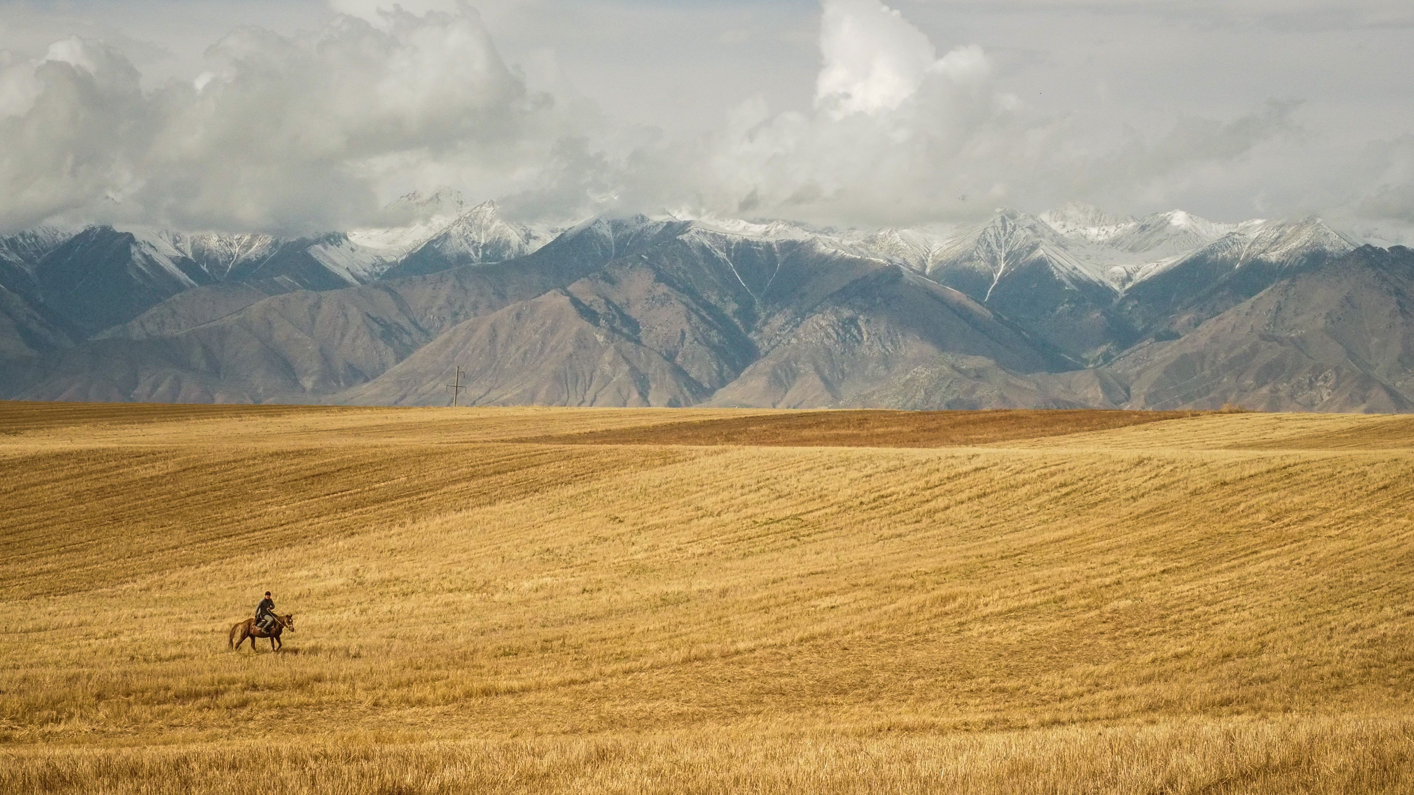 Horse rider in a golden field with snowy mountains HD Wallpaper