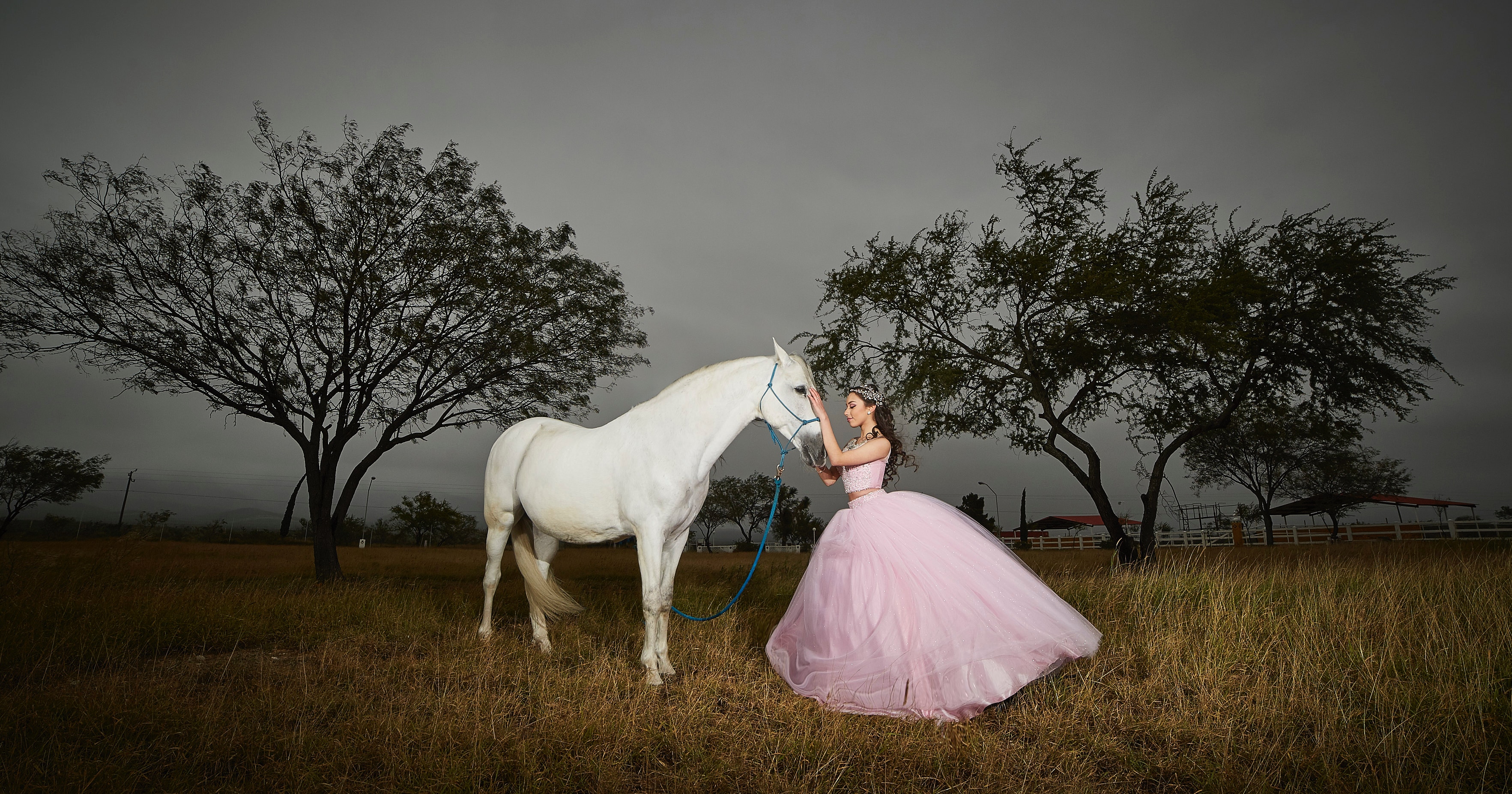 Woman in pink dress with white horse in field HD Wallpaper