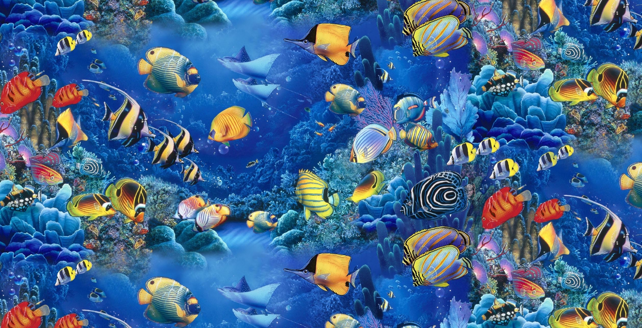 Colorful fish and coral reef underwater scene HD Wallpaper