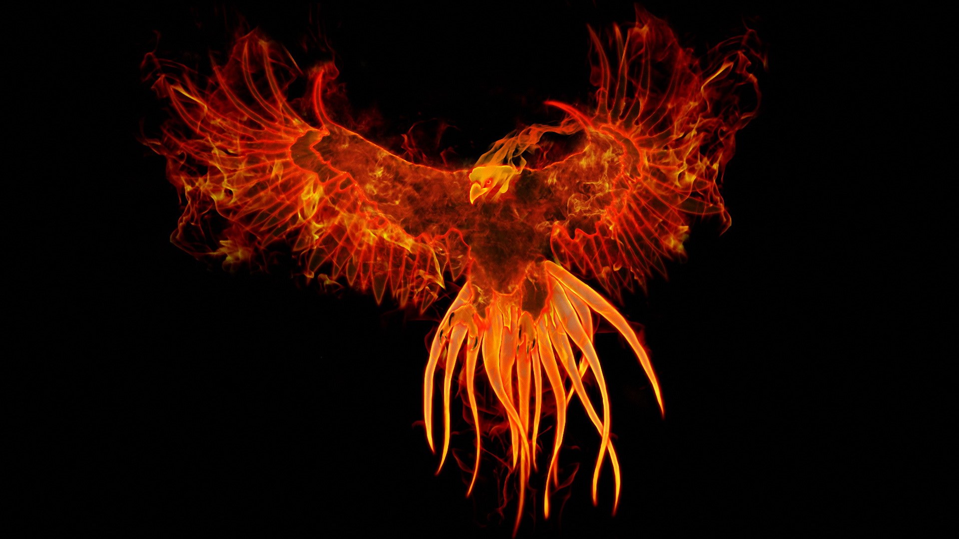 Phoenix made of fire on a black background HD Wallpaper