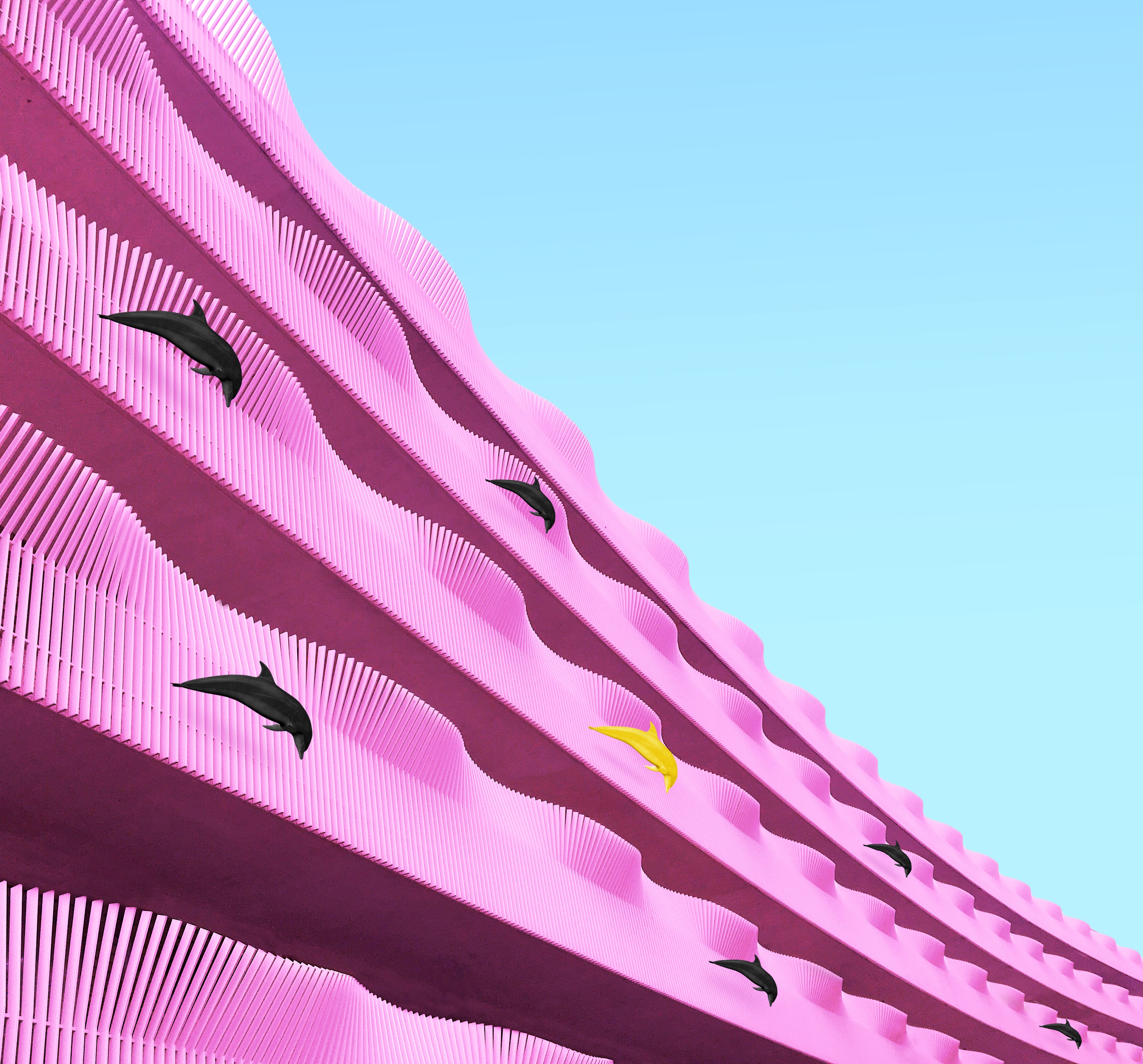 Pink wavy building with dolphins against a blue sky HD Wallpaper