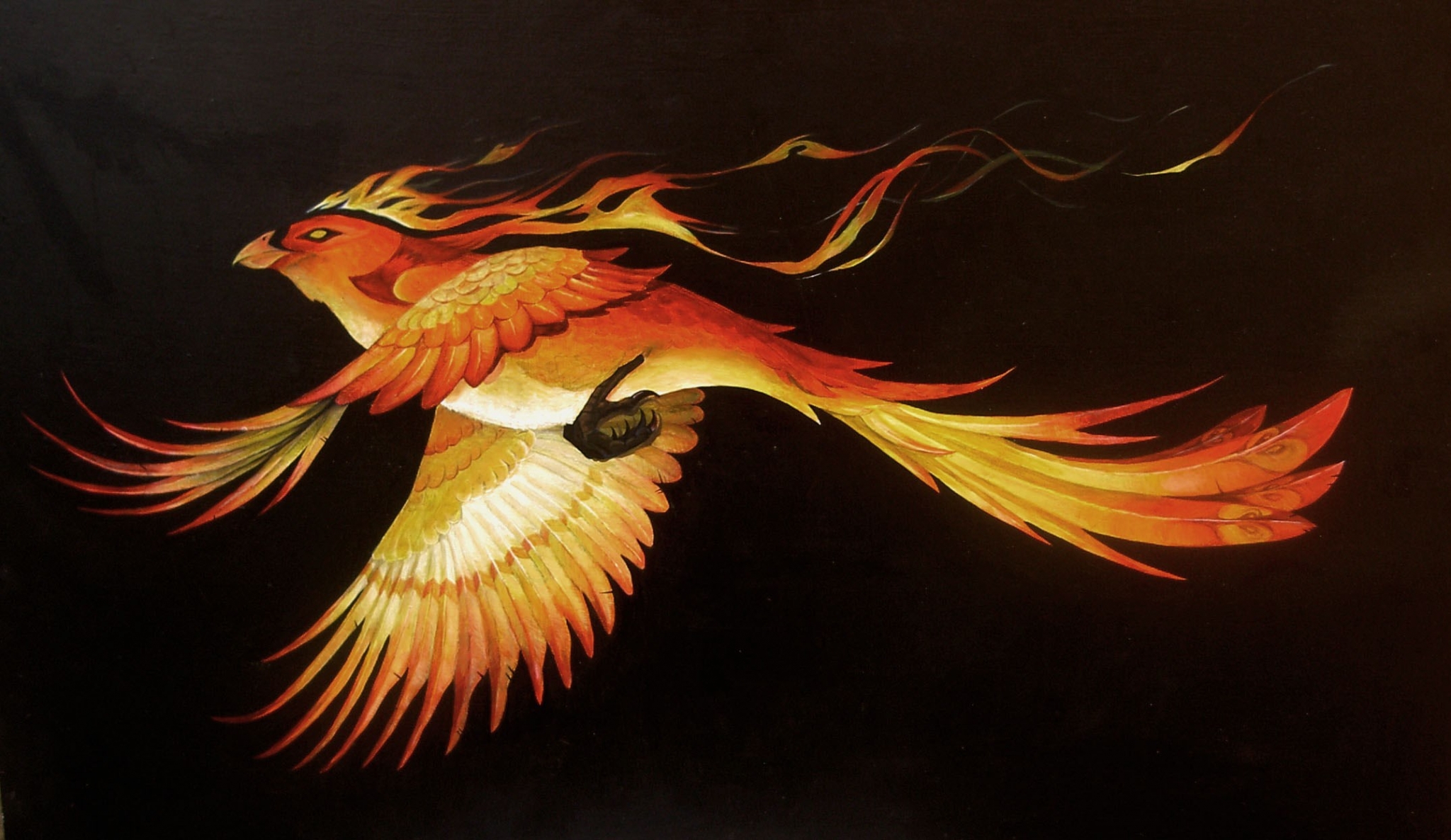 Phoenix bird with fiery wings flying HD Wallpaper