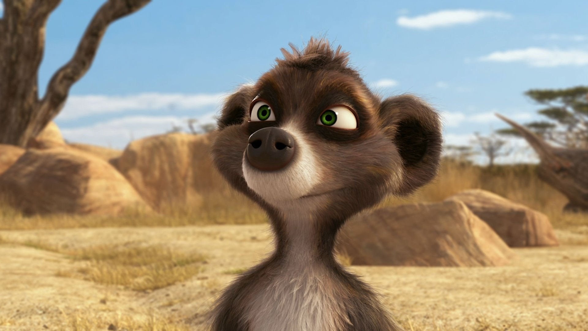 A meerkat from Animals United in a savanna HD Wallpaper
