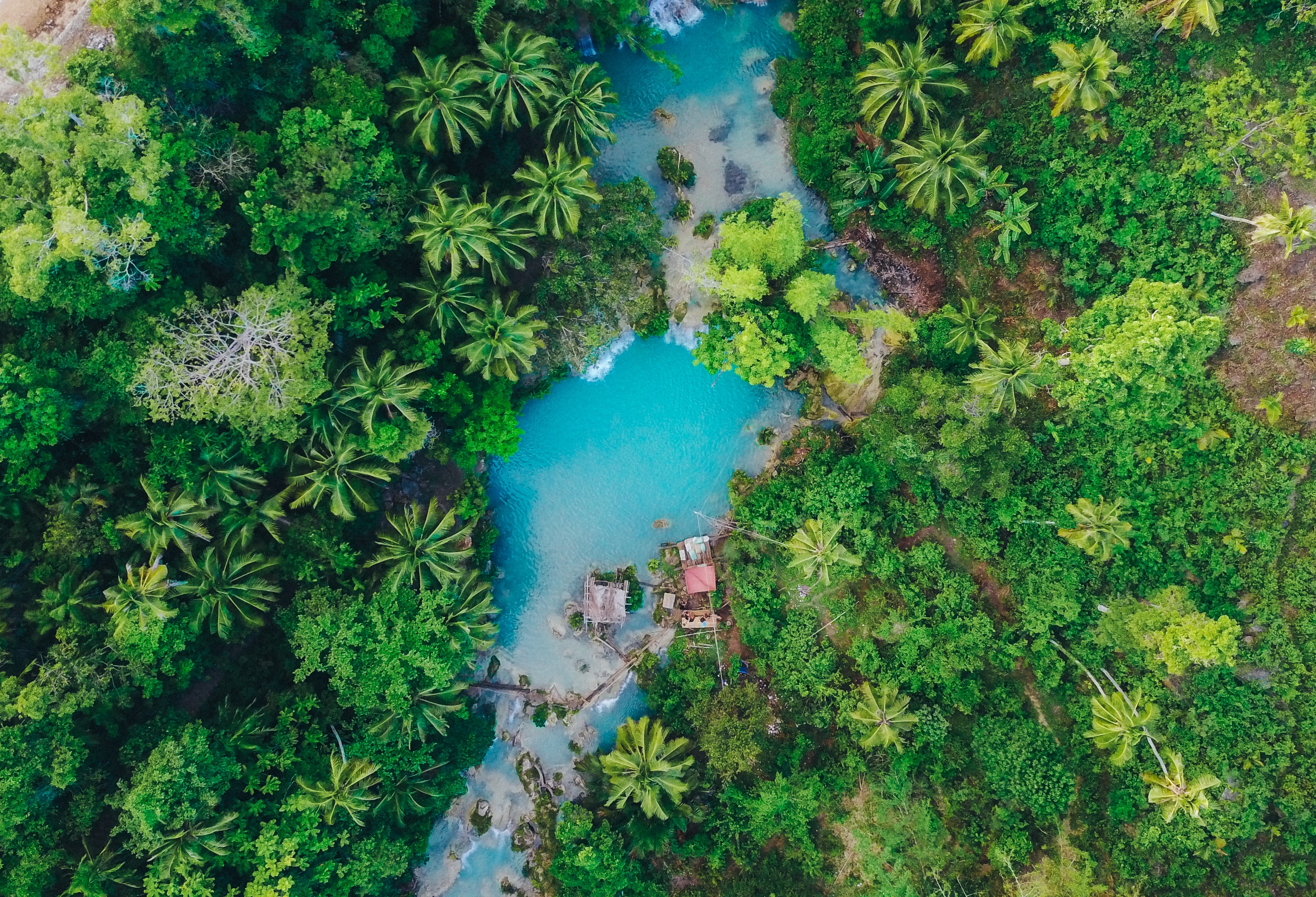 Aerial view of a turquoise lagoon surrounded by a lush forest HD Wallpaper