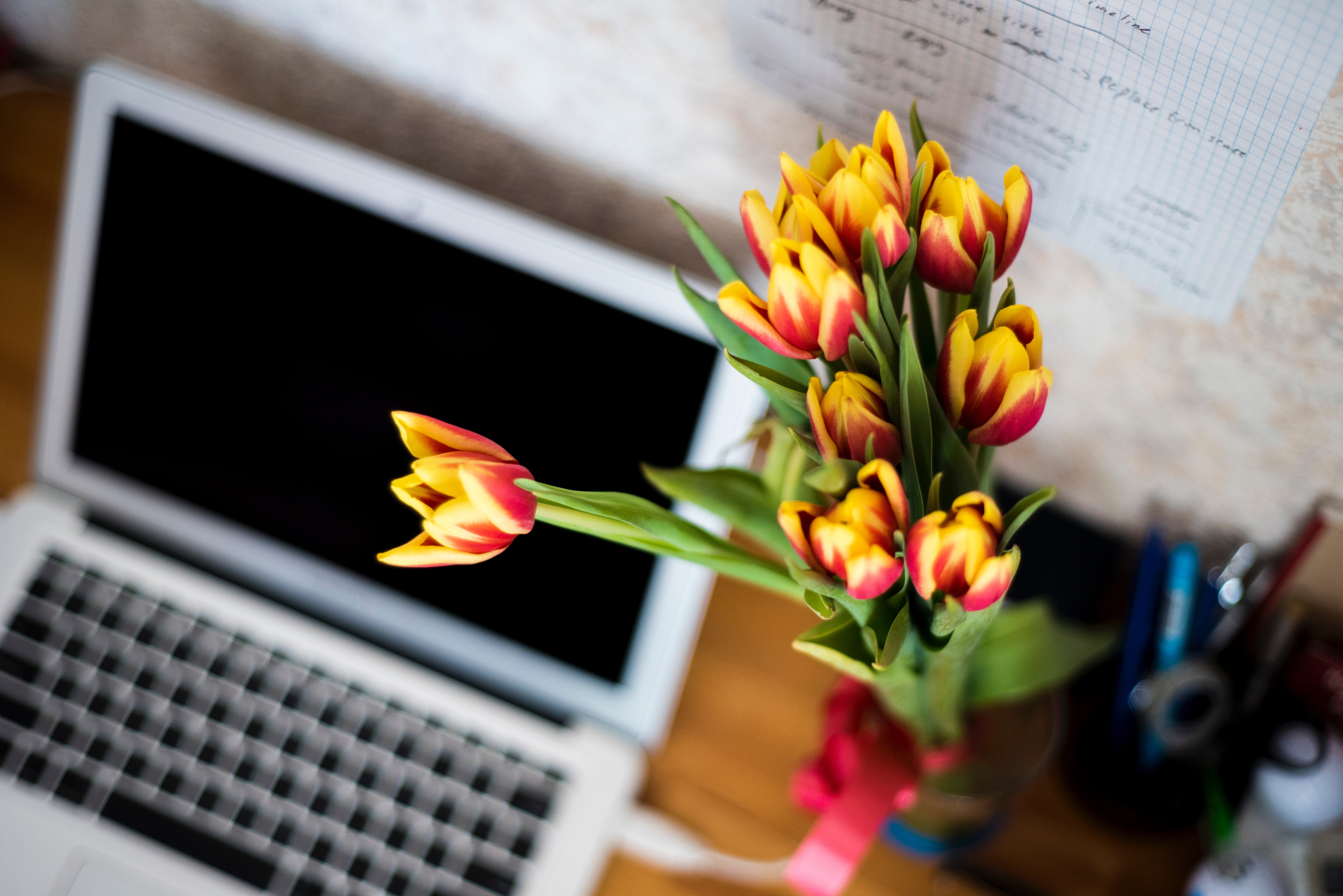 Tulip bouquet on a desk next to a MacBook HD Wallpaper