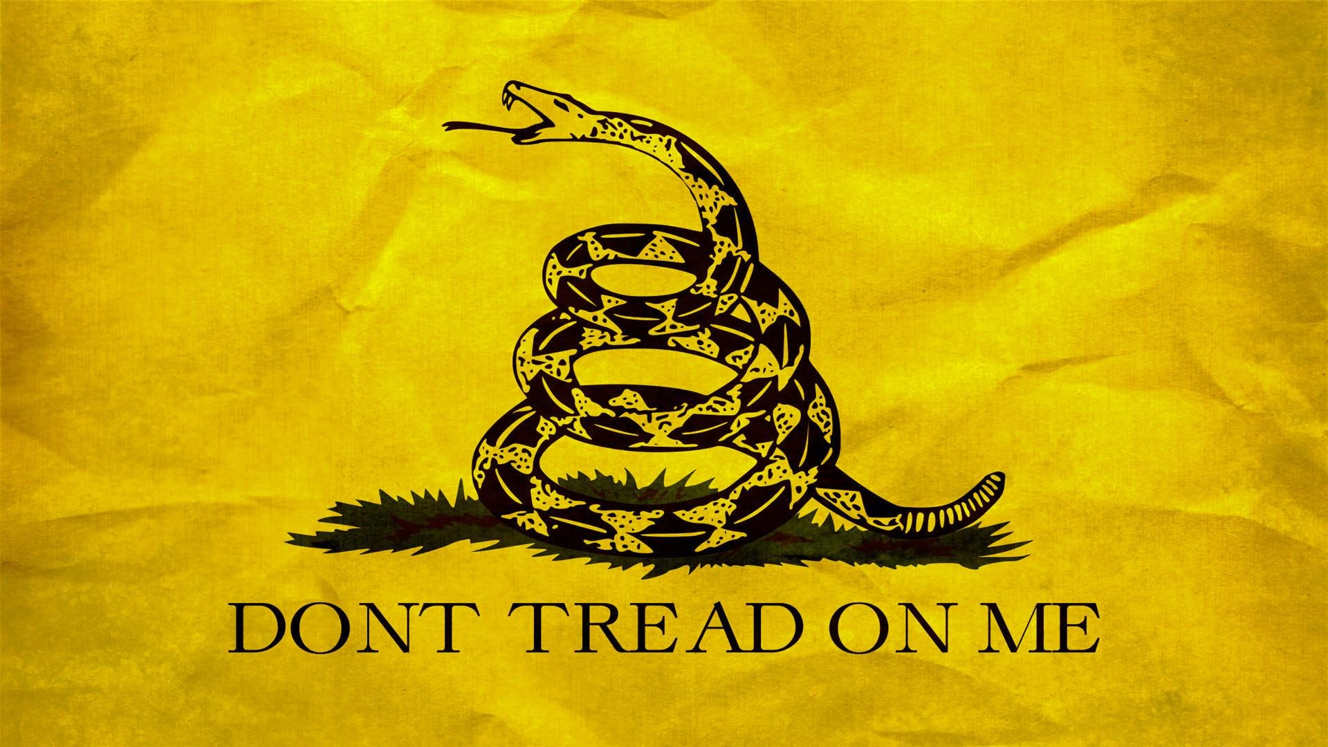 Gadsden flag with coiled rattlesnake and text HD Wallpaper