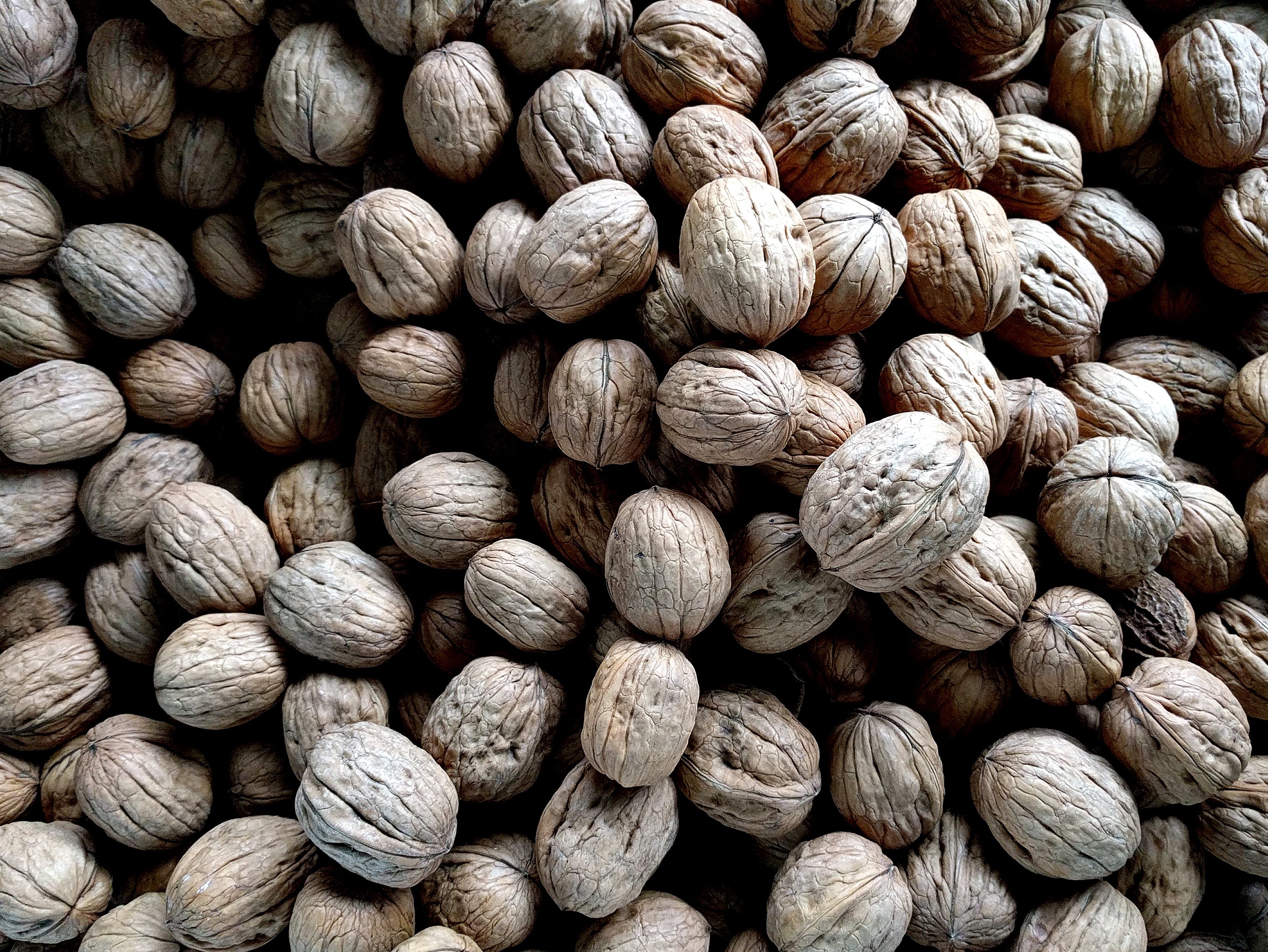 A large collection of dry walnuts HD Wallpaper