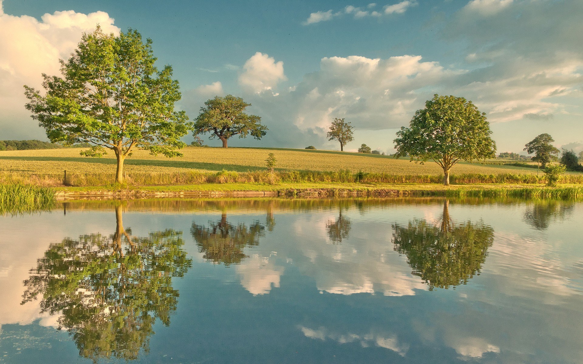 Trees reflected in a calm lake under a cloudy sky HD Wallpaper