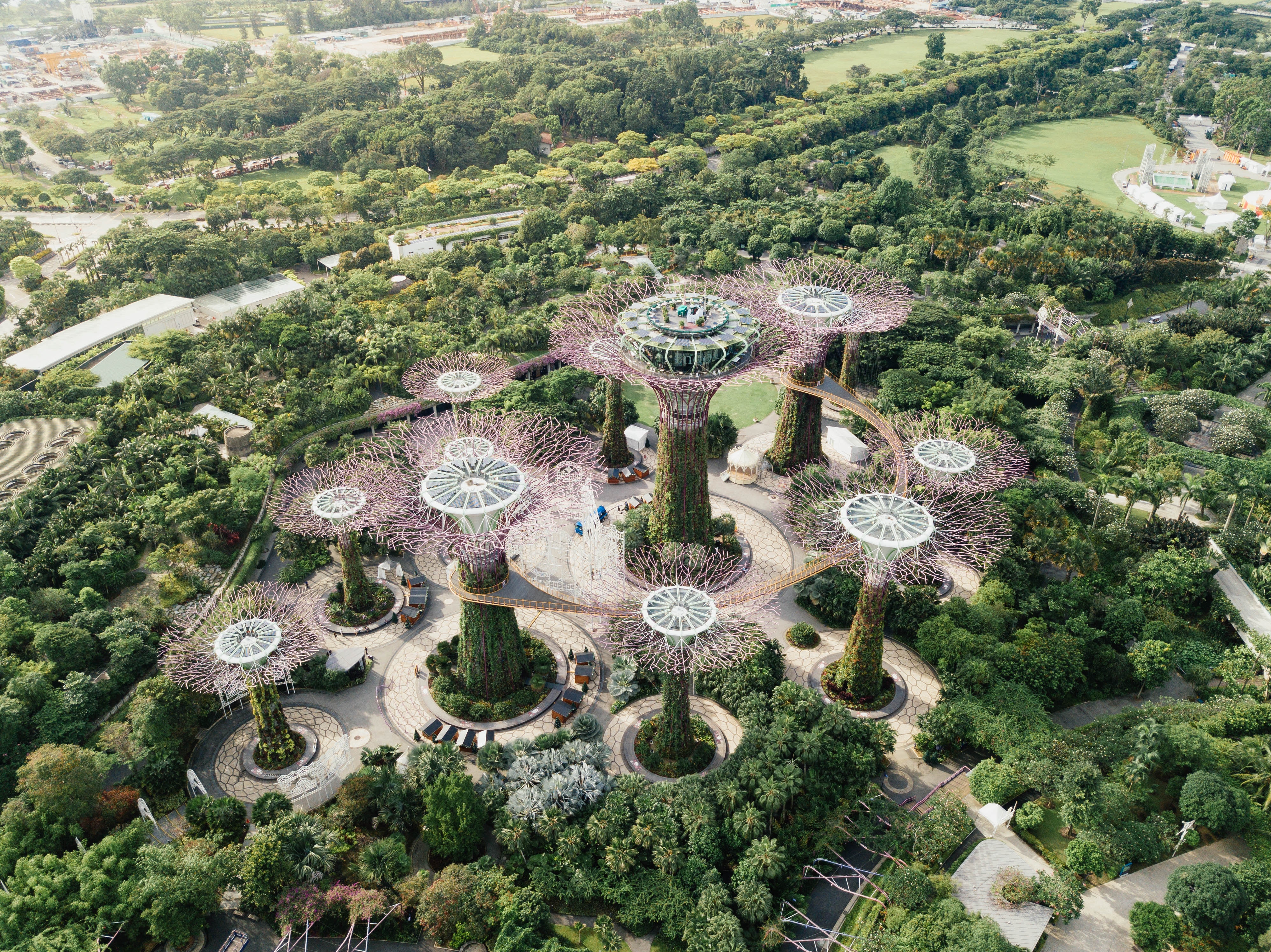 Gardens by the Bay Supertree Grove aerial view HD Wallpaper