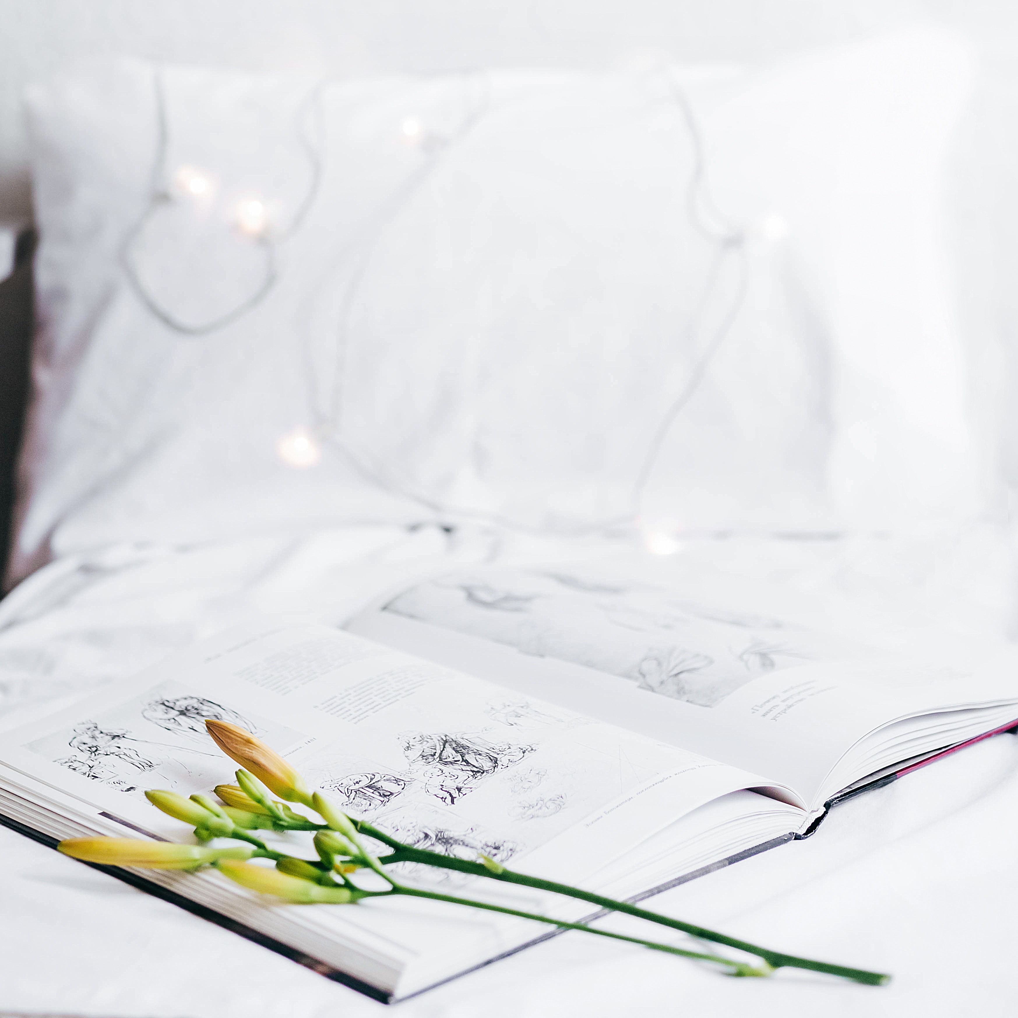 Book with flowers and fairy lights on a bed HD Wallpaper