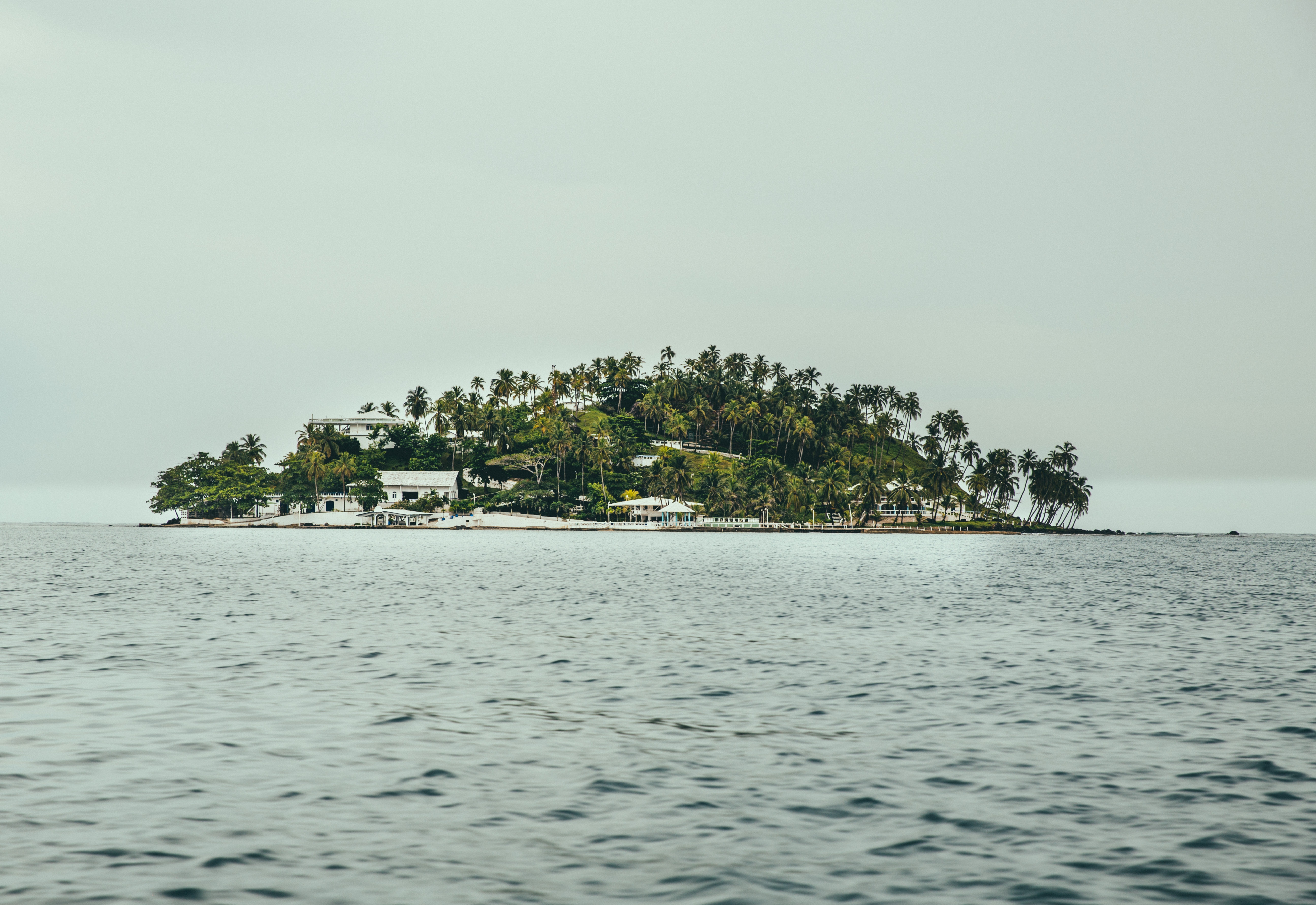 Tropical island with palm trees and white buildings in the ocean HD Wallpaper