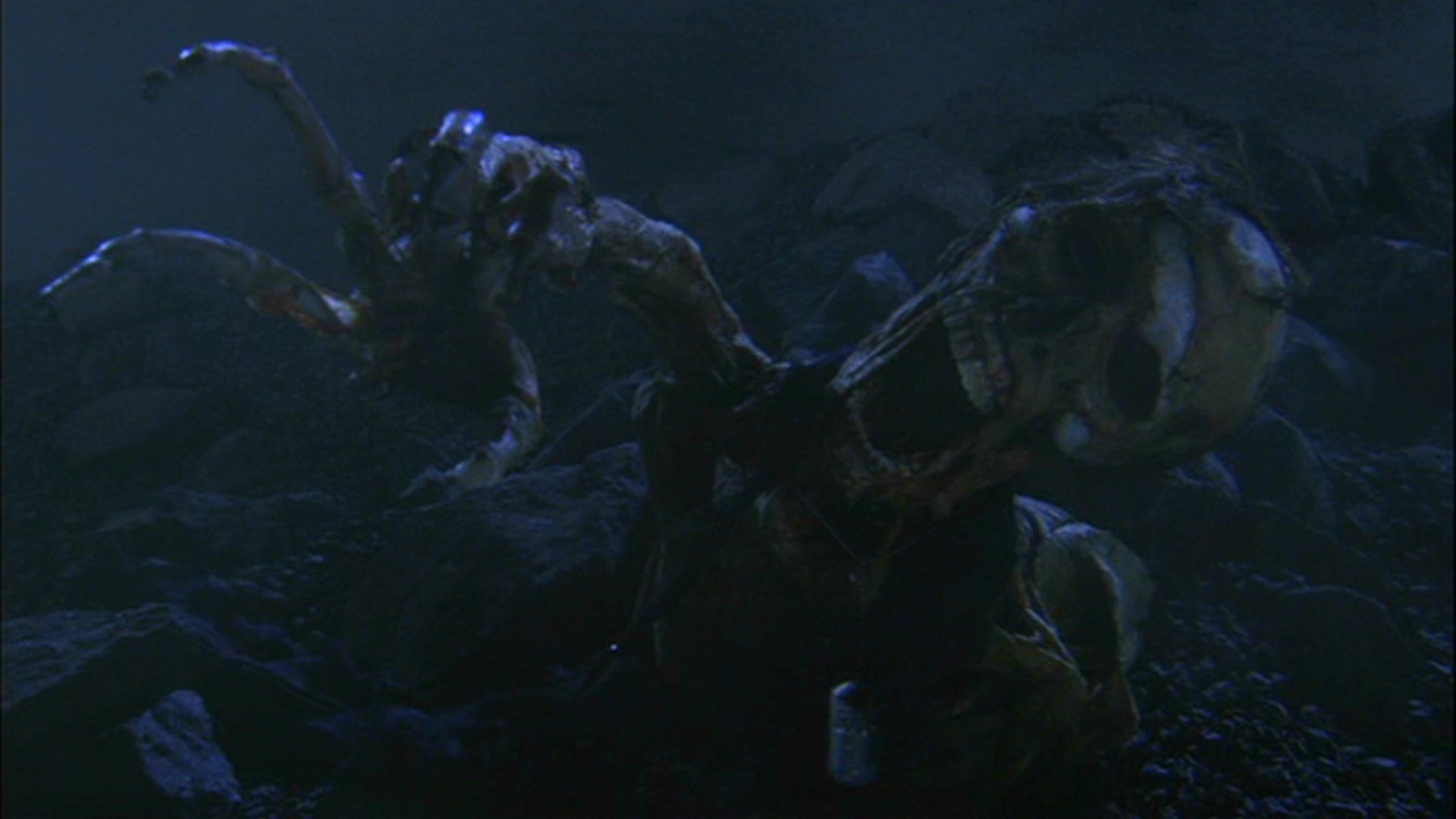 Starship Troopers 2: Hero of the Federation creature HD Wallpaper