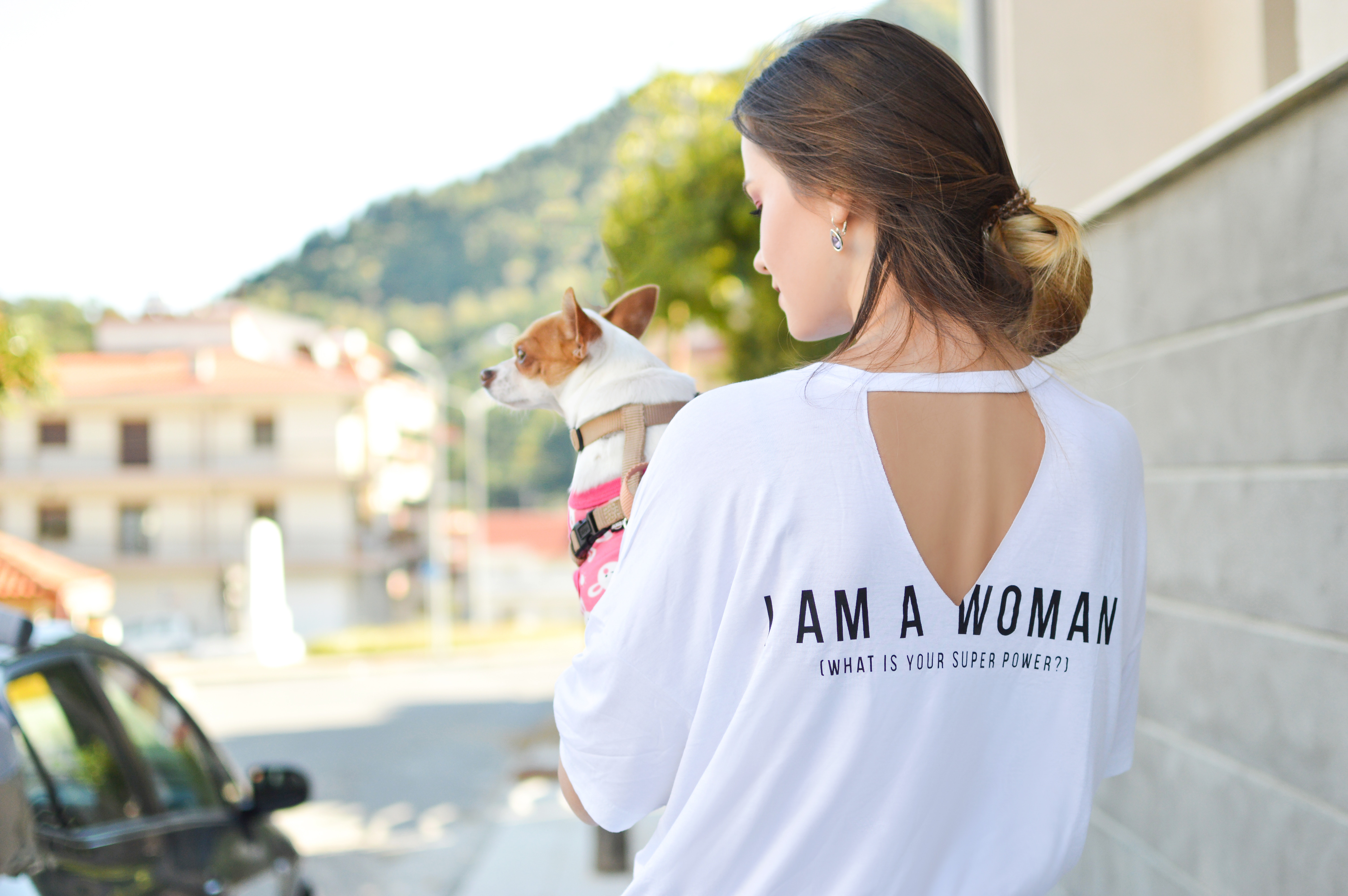 Woman Holding a Chihuahua Dog HD Wallpaper