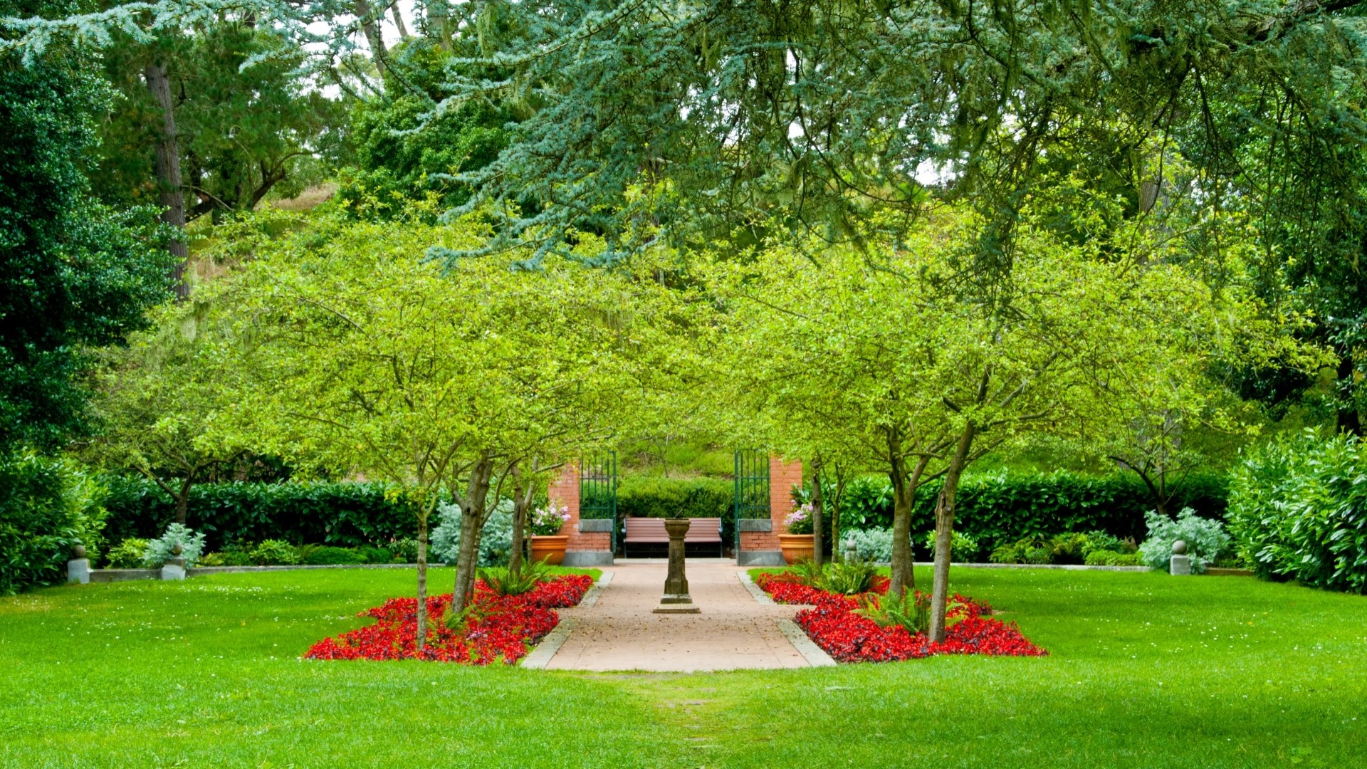 Beautiful garden path with trees and flowers HD Wallpaper