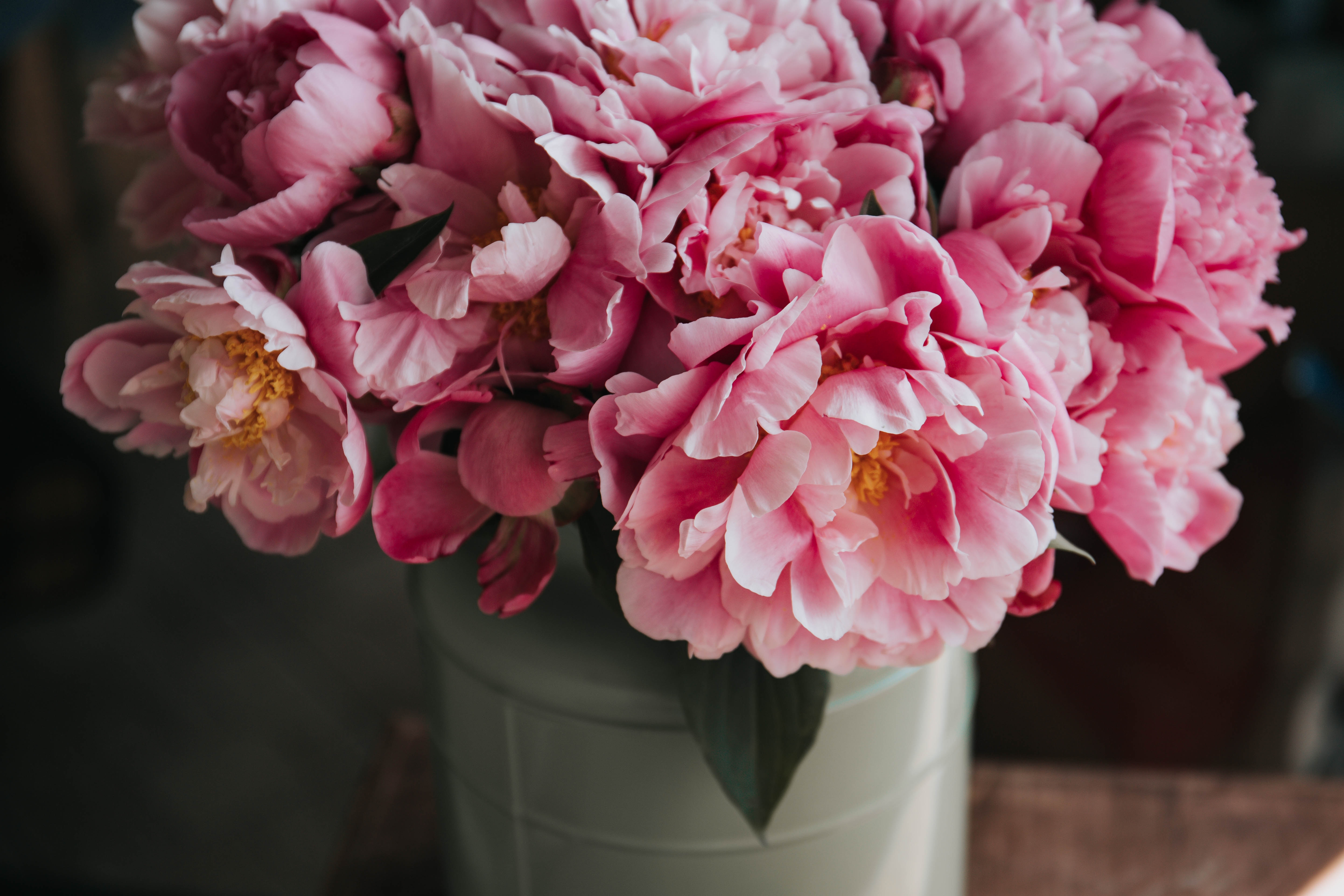 Close up of a bouquet of pink peonies in a vase HD Wallpaper