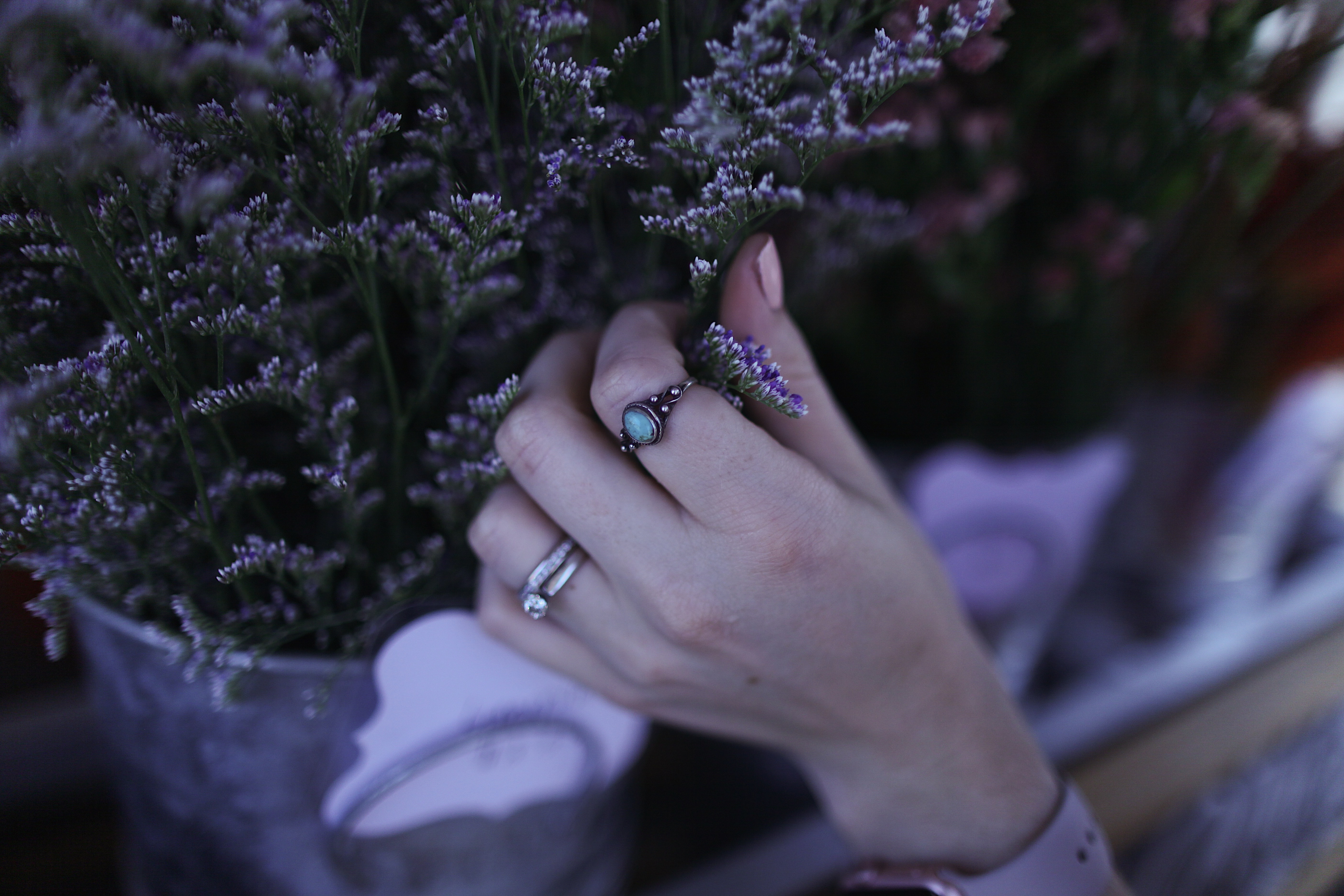 Woman's hand with rings holding purple flowers HD Wallpaper