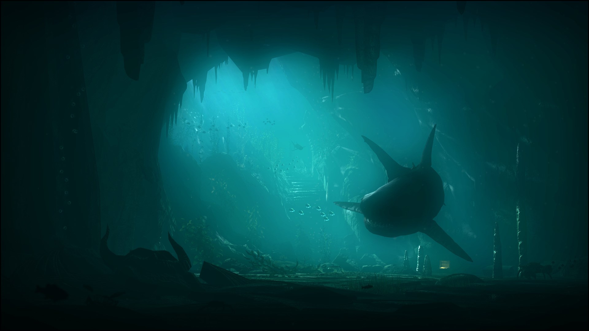 Shark swimming in underwater cave HD Wallpaper