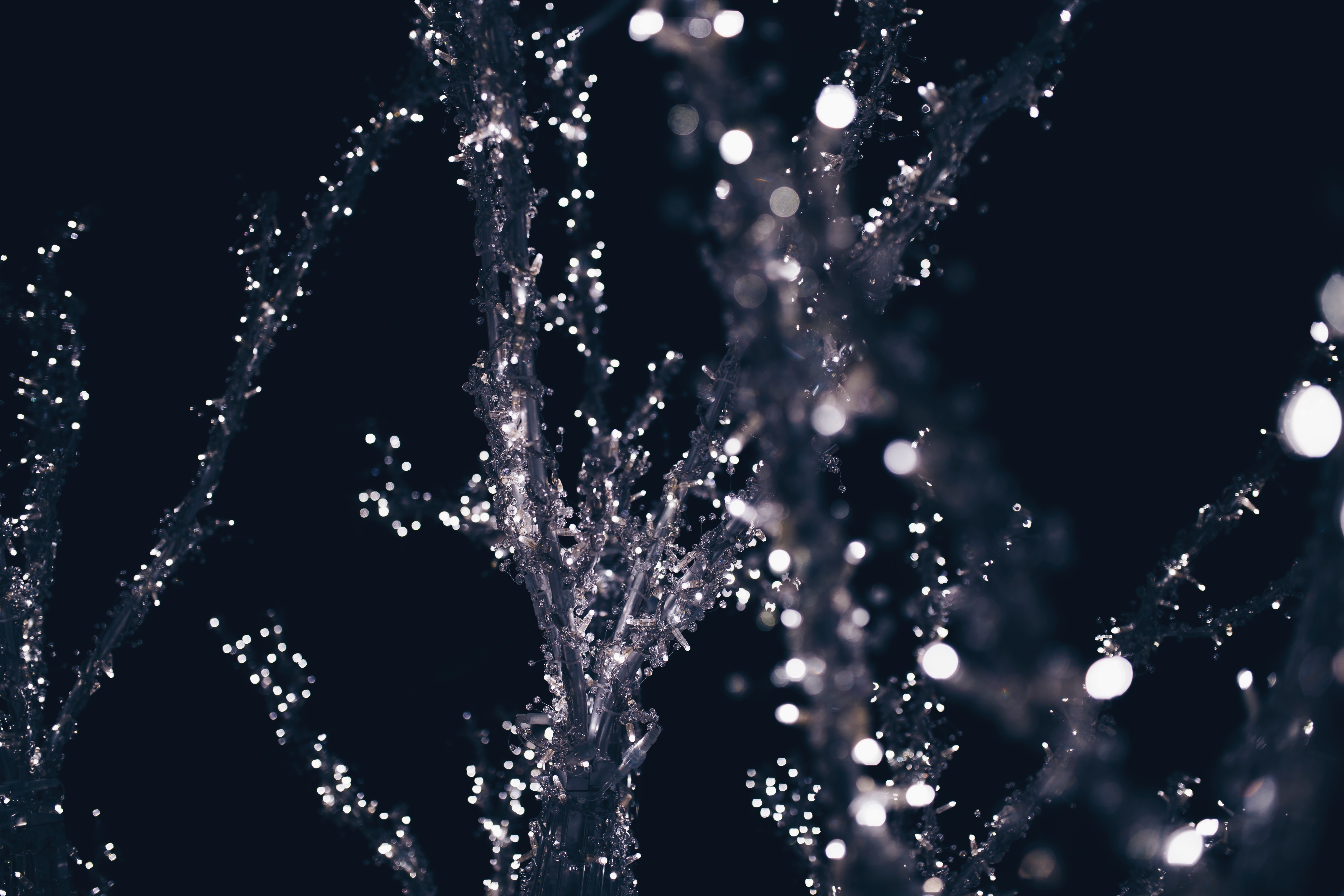 Close up of a tree decorated with lights at night HD Wallpaper