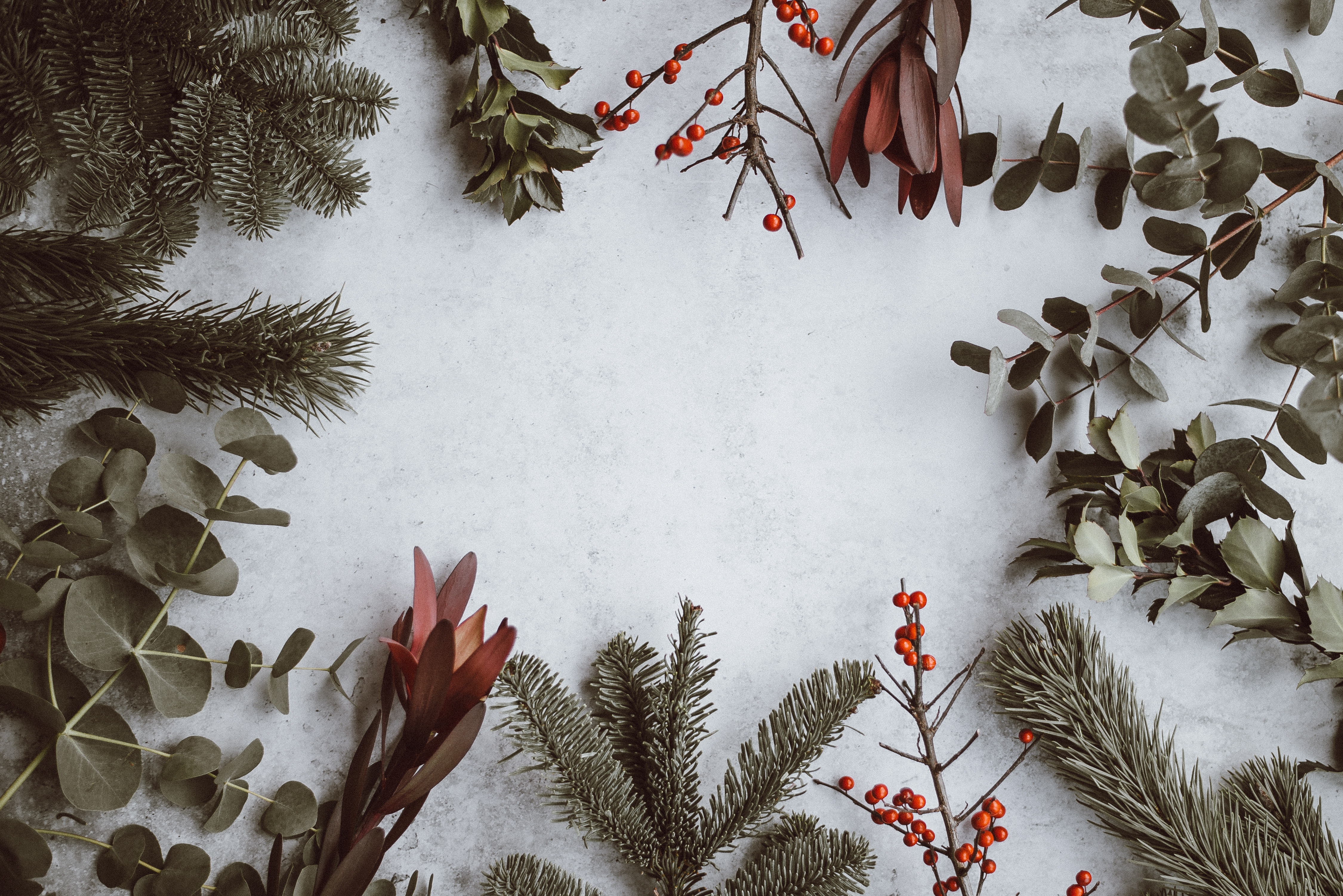 Christmas foliage and berries on a textured surface HD Wallpaper
