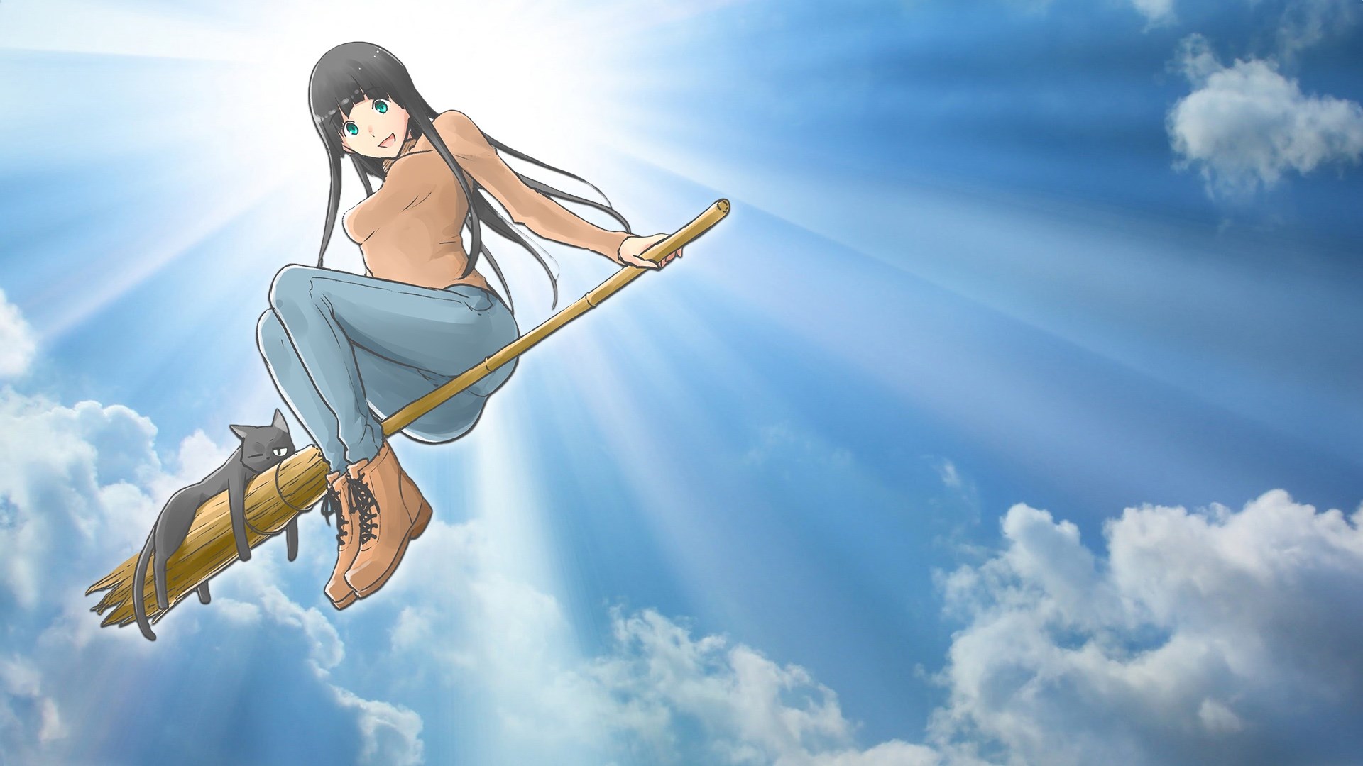 Girl flying on a broom with a cat HD Wallpaper