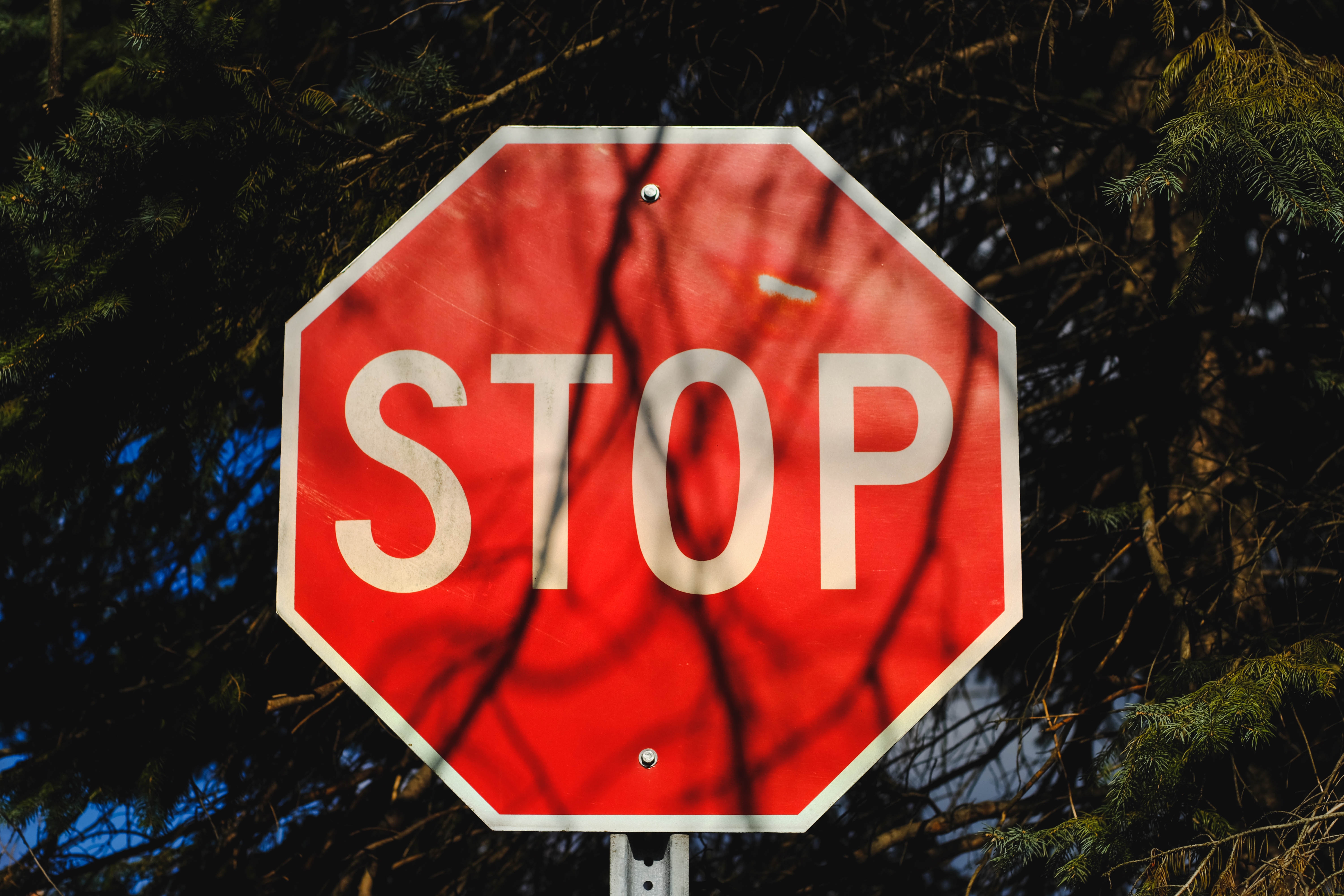Red stop sign with tree branches HD Wallpaper