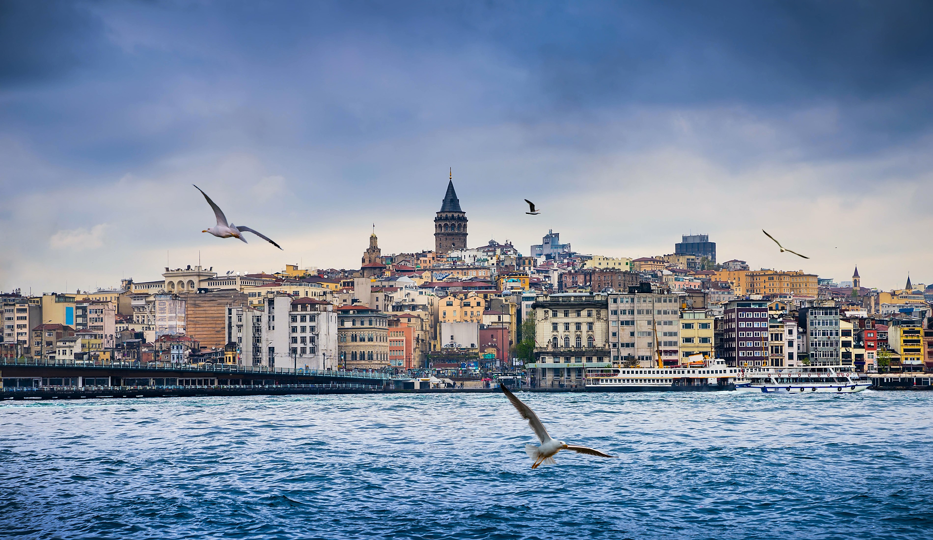 Istanbul cityscape with Galata Tower and seagulls HD Wallpaper