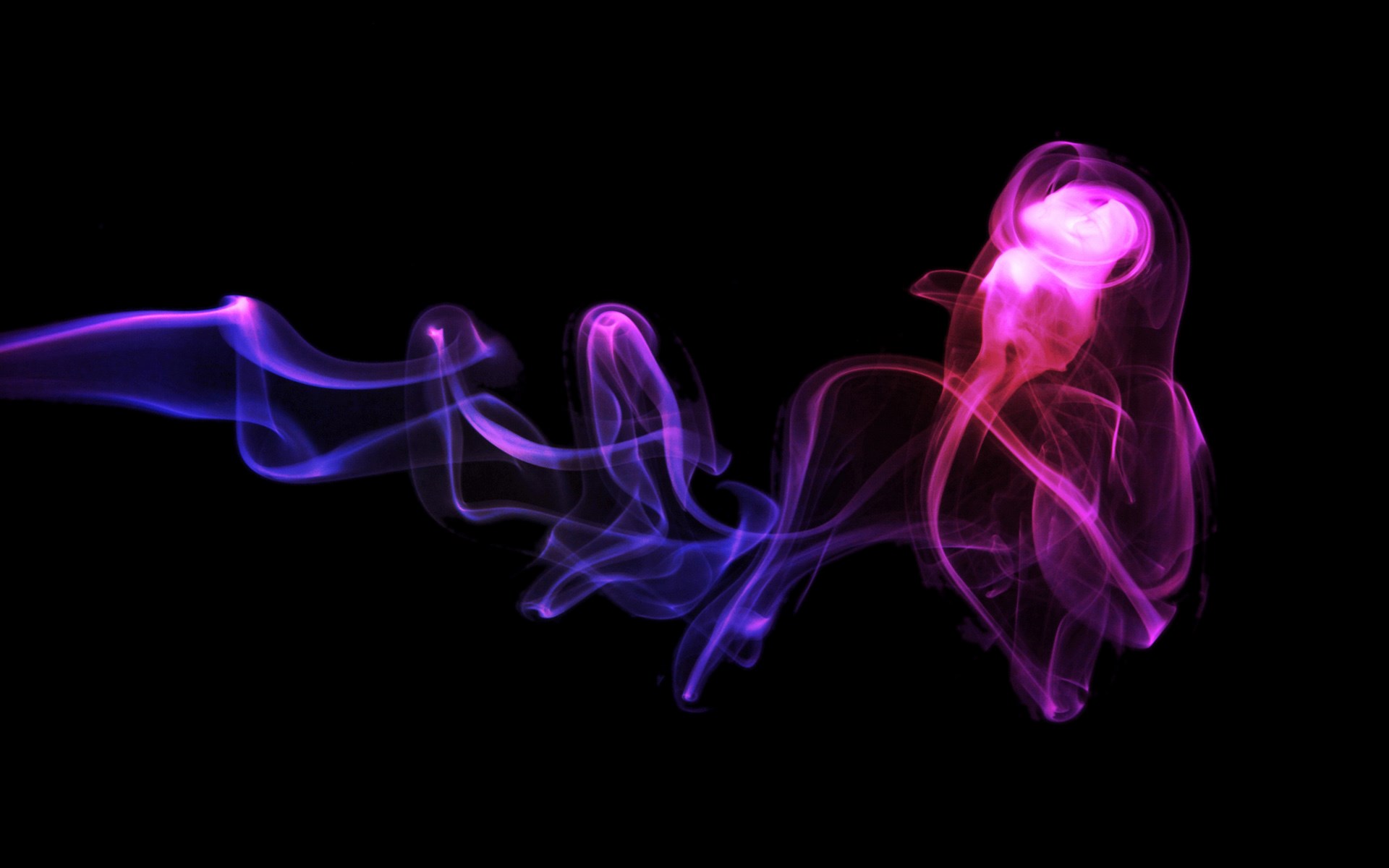 Purple and pink smoke wisps on black background HD Wallpaper