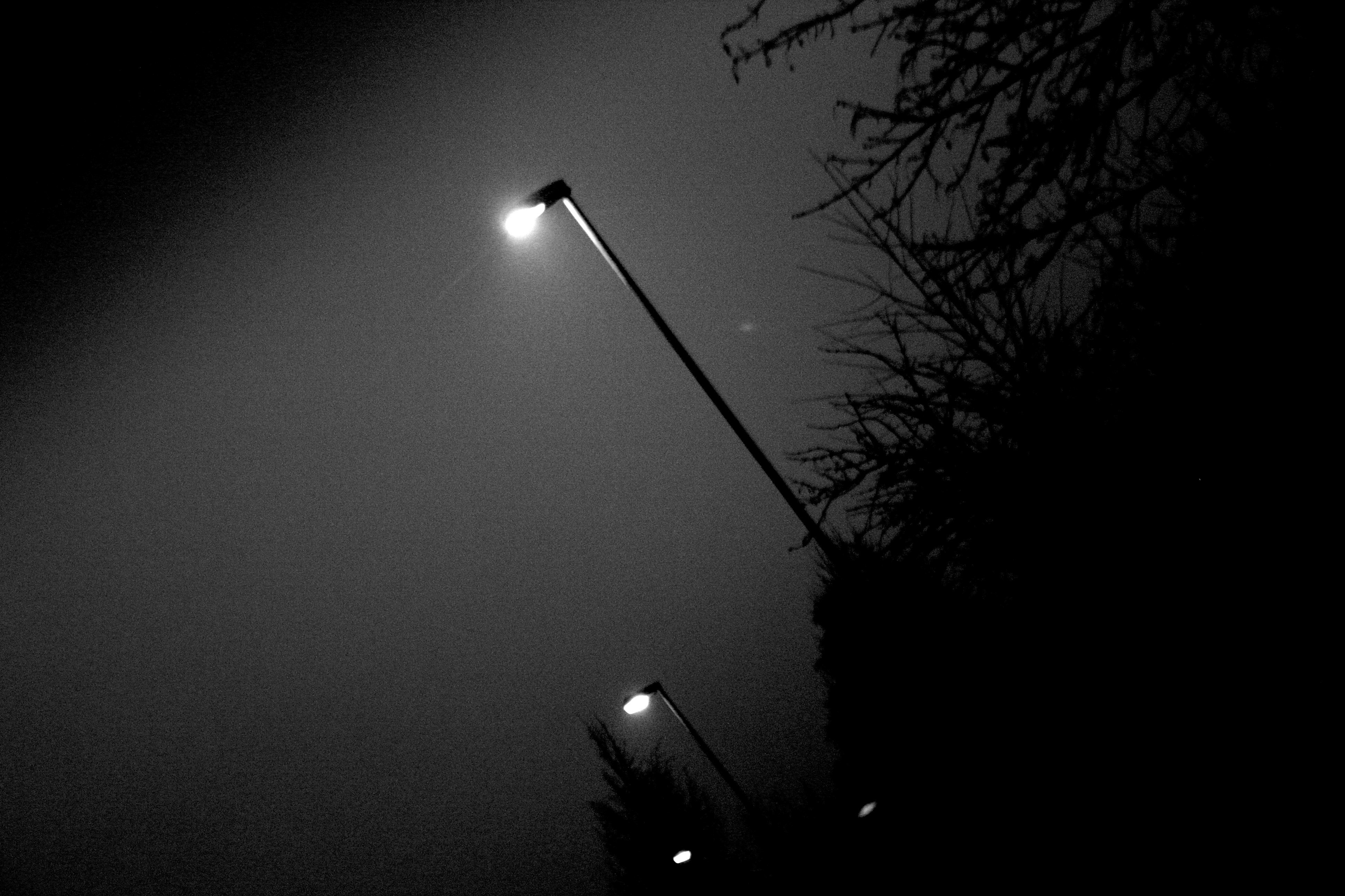 Streetlights in the dark with trees HD Wallpaper