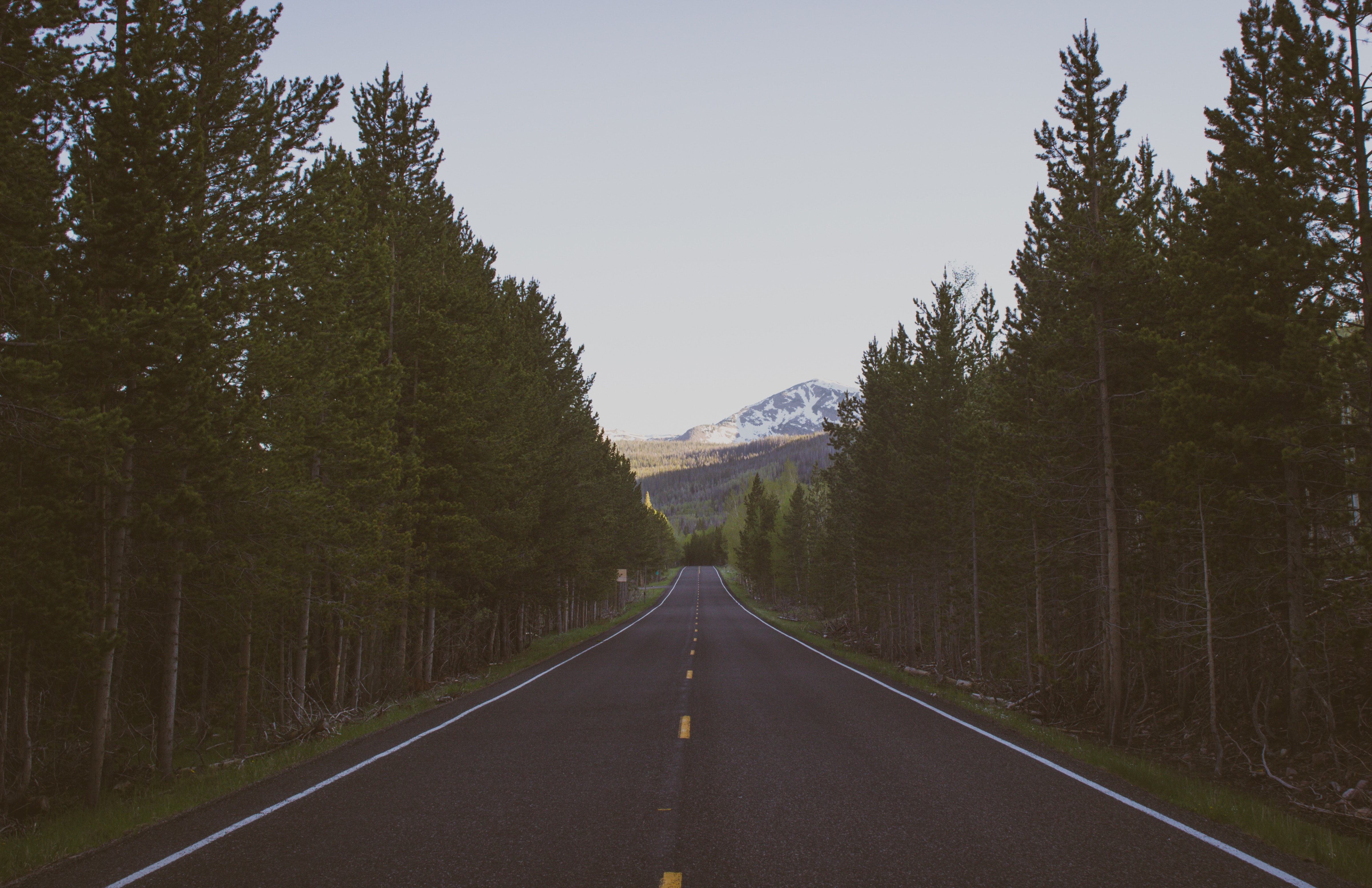 Empty Road Through Forest Toward Snowy Mountain HD Wallpaper