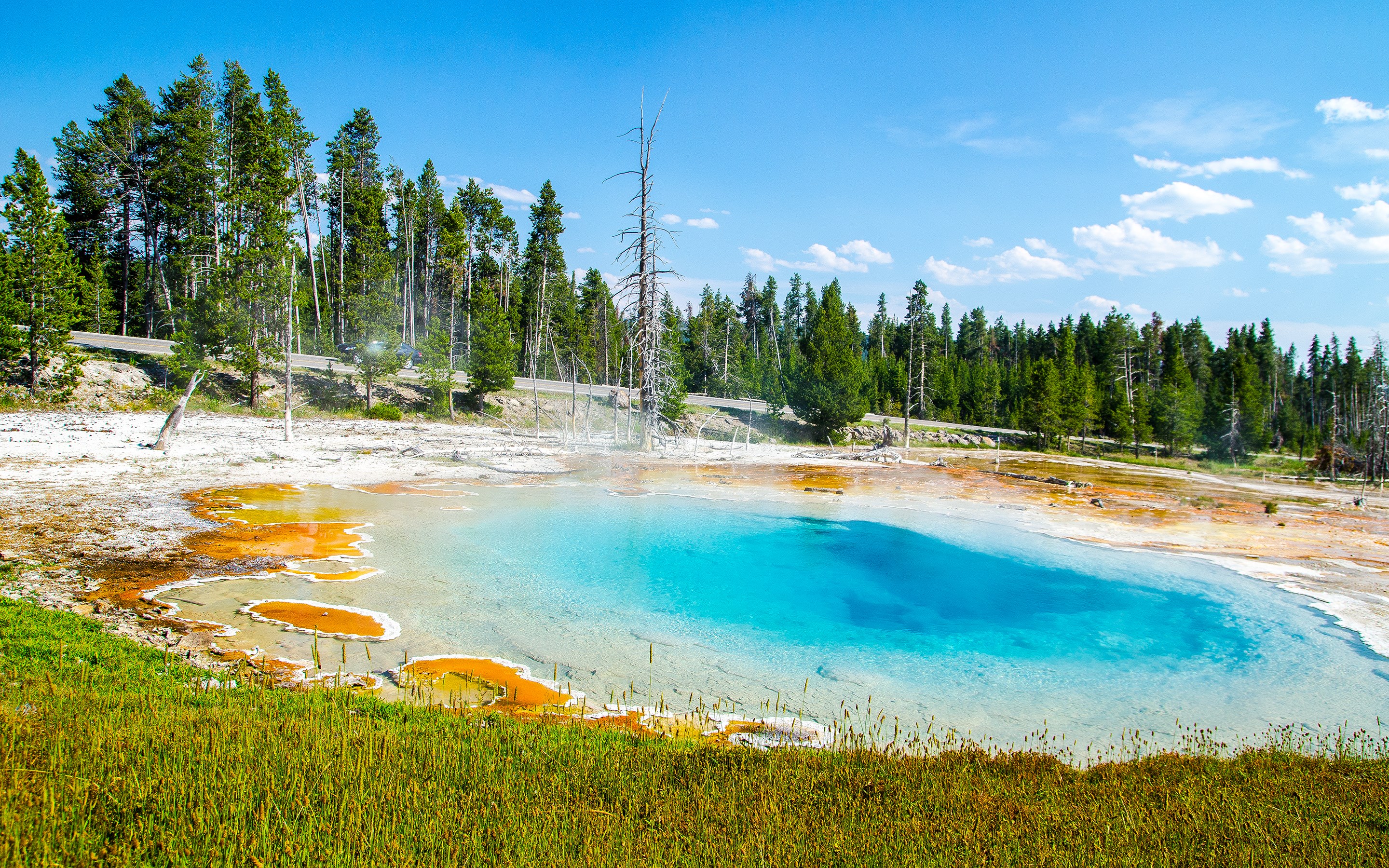 Hot spring with colorful mineral deposits and pine forest HD Wallpaper