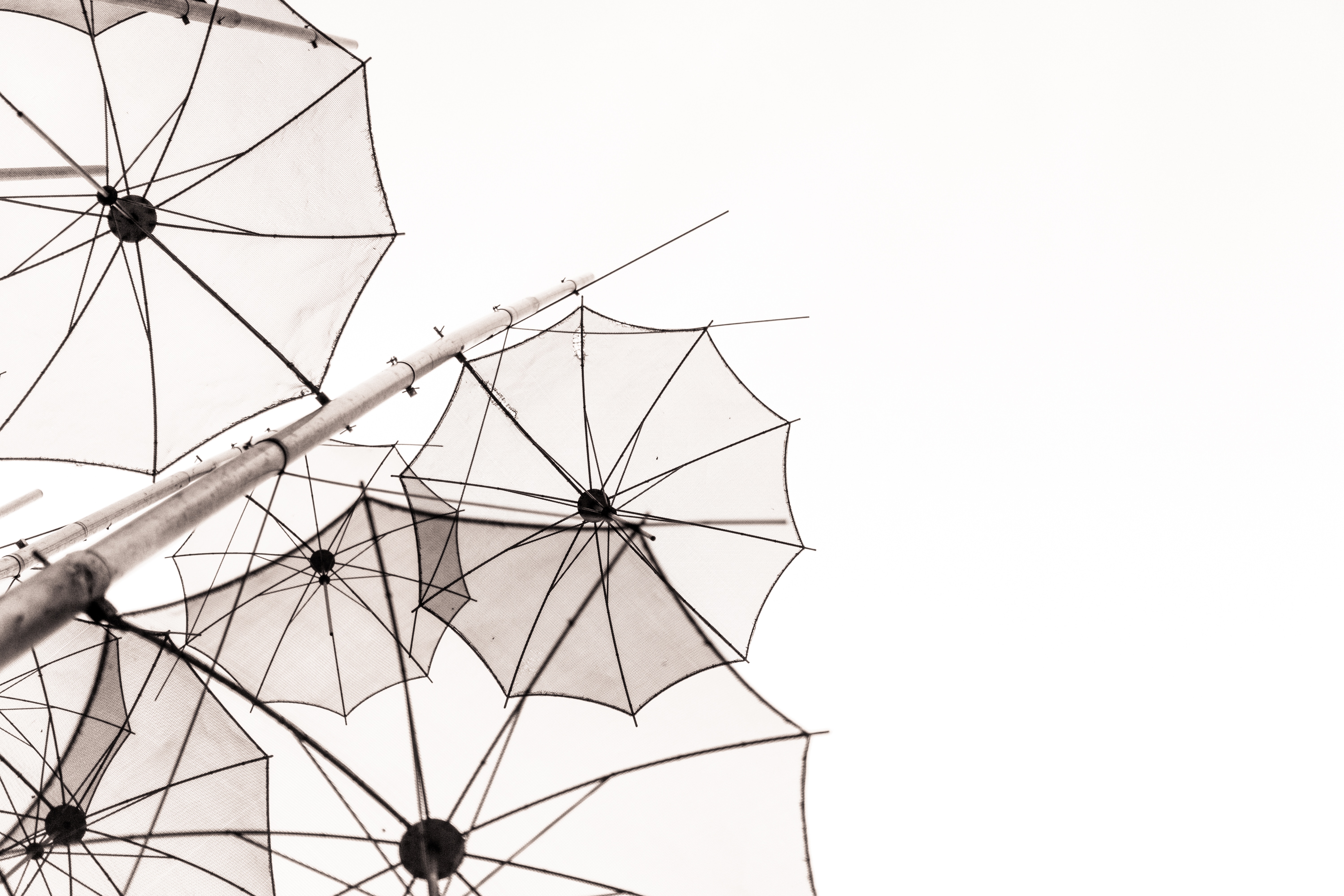 Black and white image of umbrellas against the sky HD Wallpaper