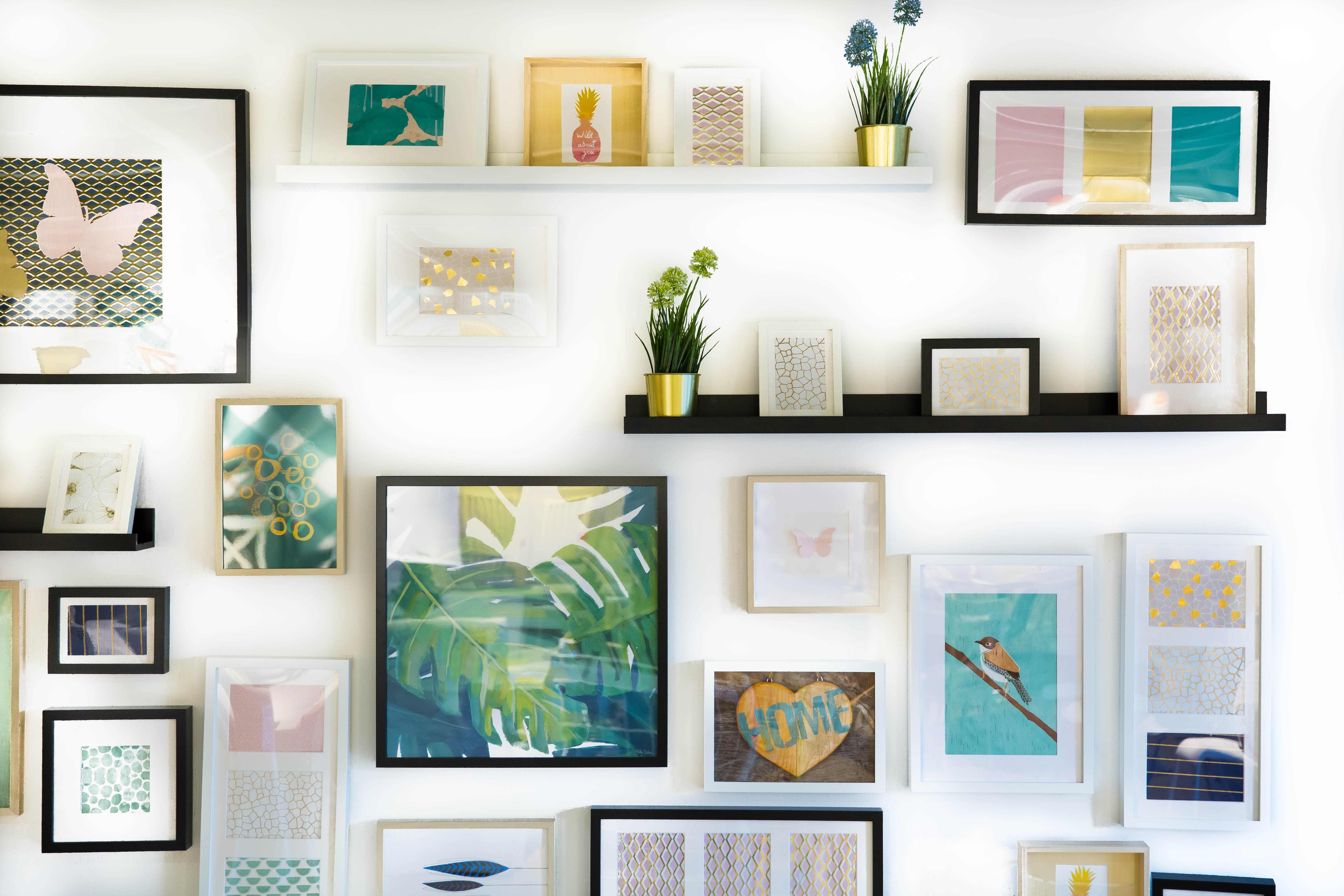 Wall art with framed pictures and plants HD Wallpaper