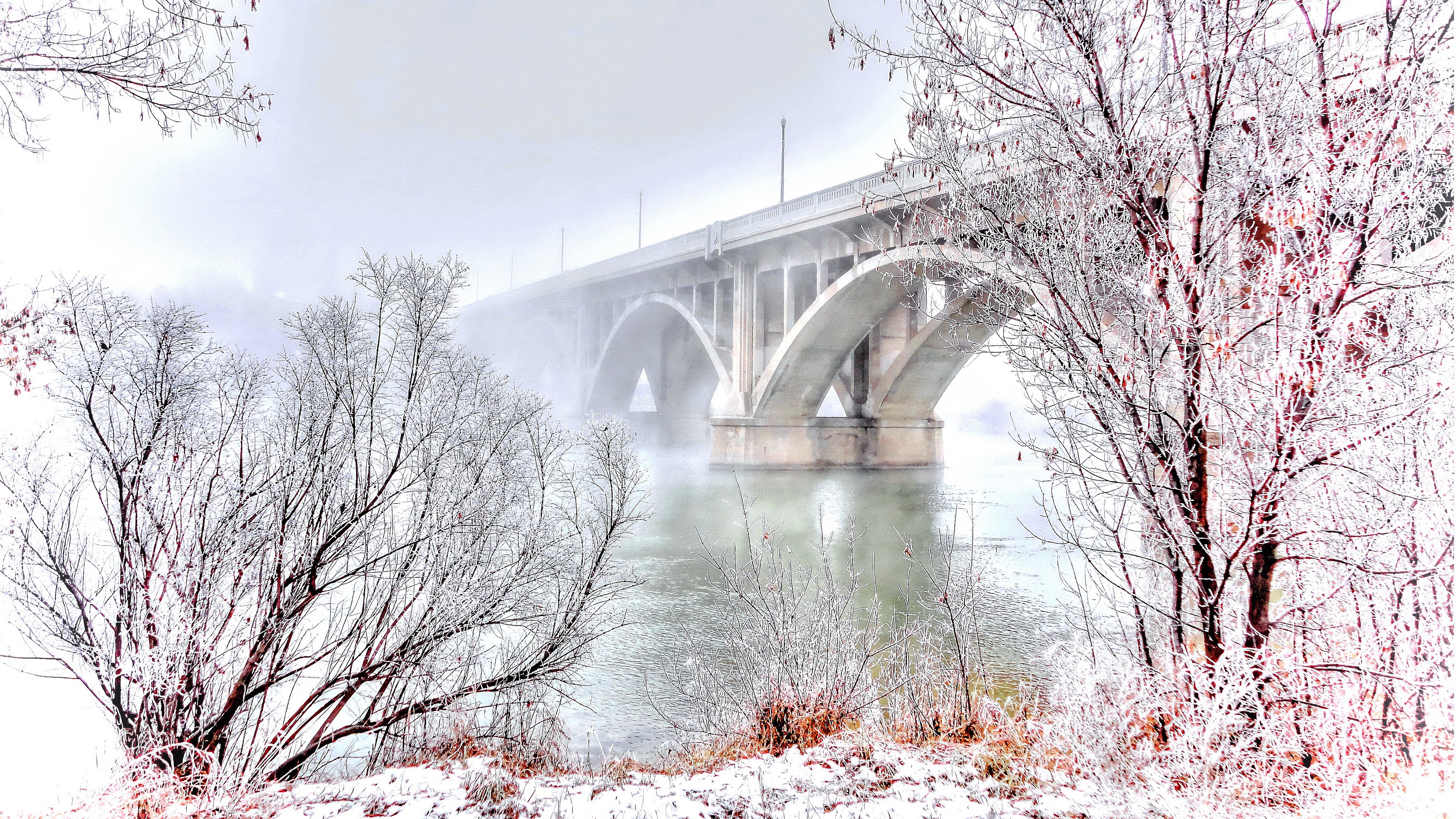 Winter bridge over misty river with frosted trees HD Wallpaper