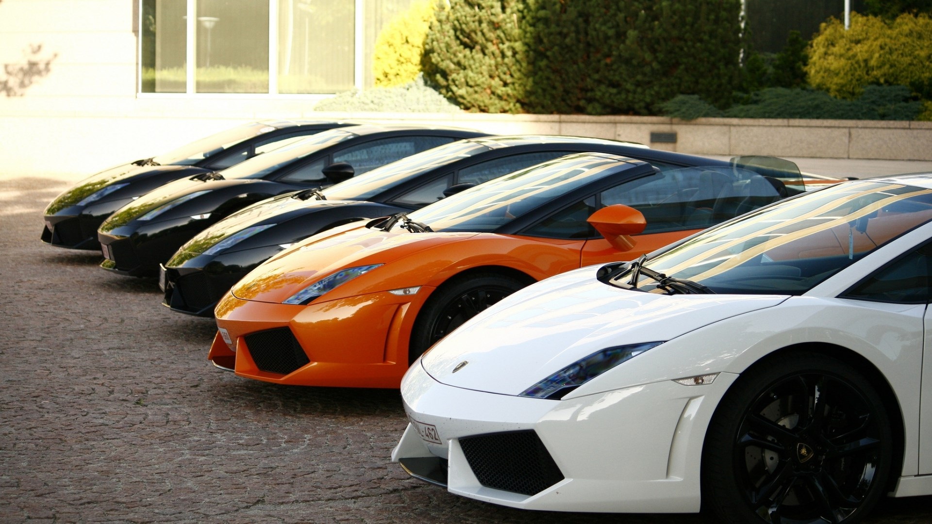 Line of Lamborghinis: White, Orange, and Black HD Wallpaper