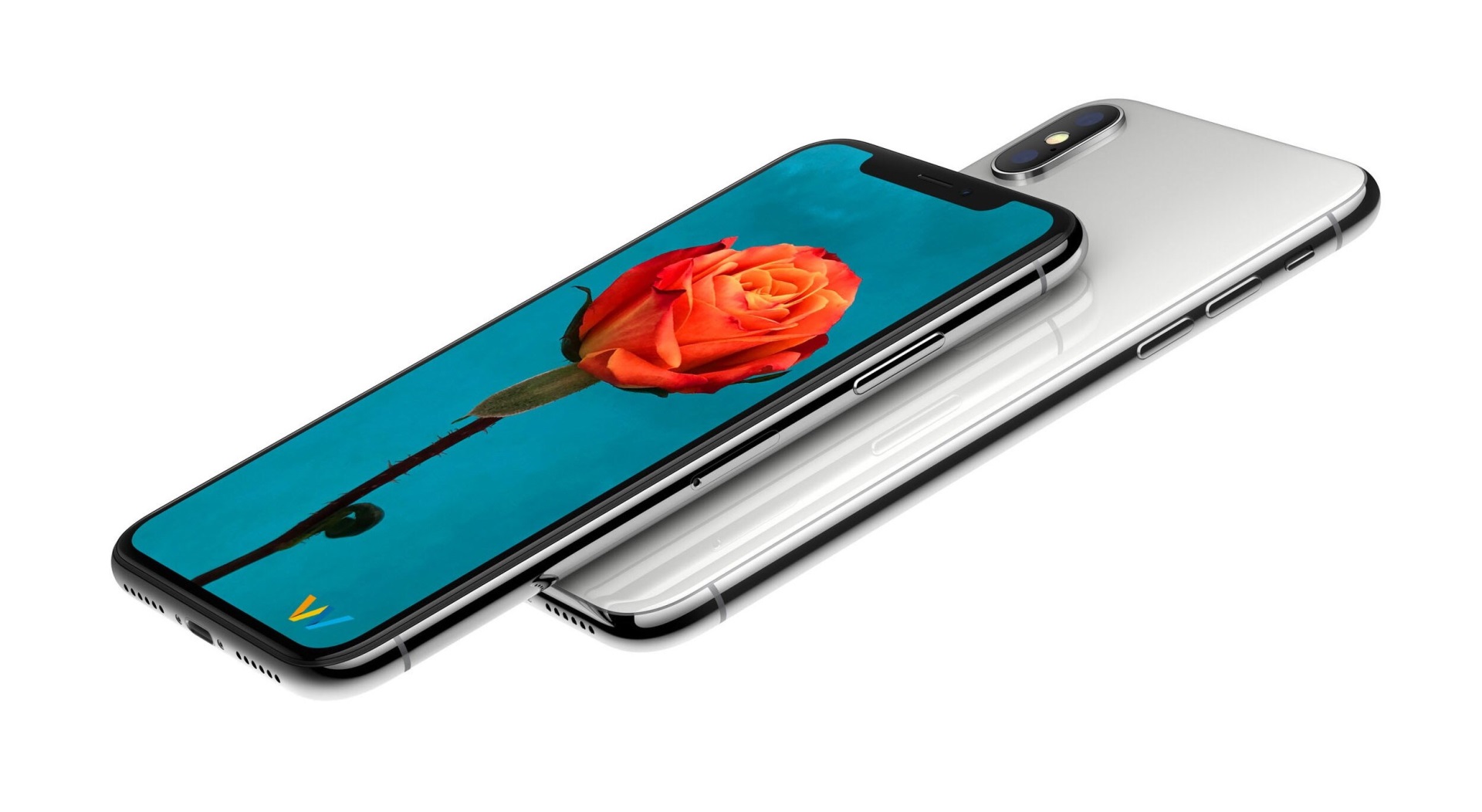 iPhone X with orange rose wallpaper HD Wallpaper