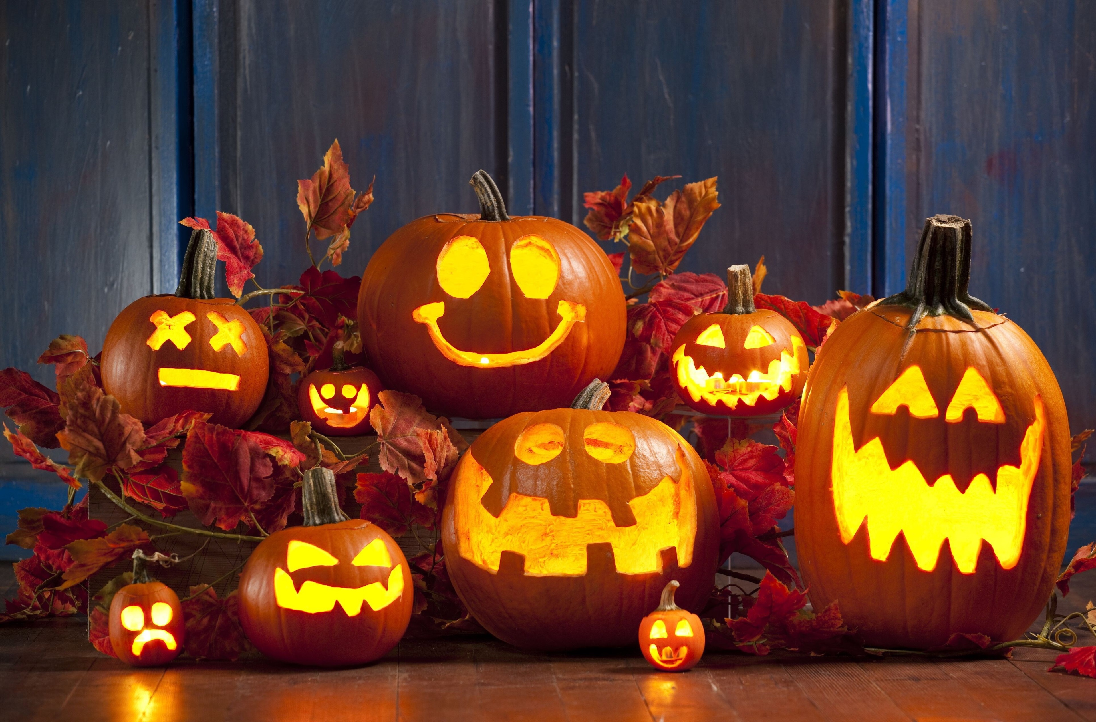 Halloween carved pumpkins with autumn leaves HD Wallpaper
