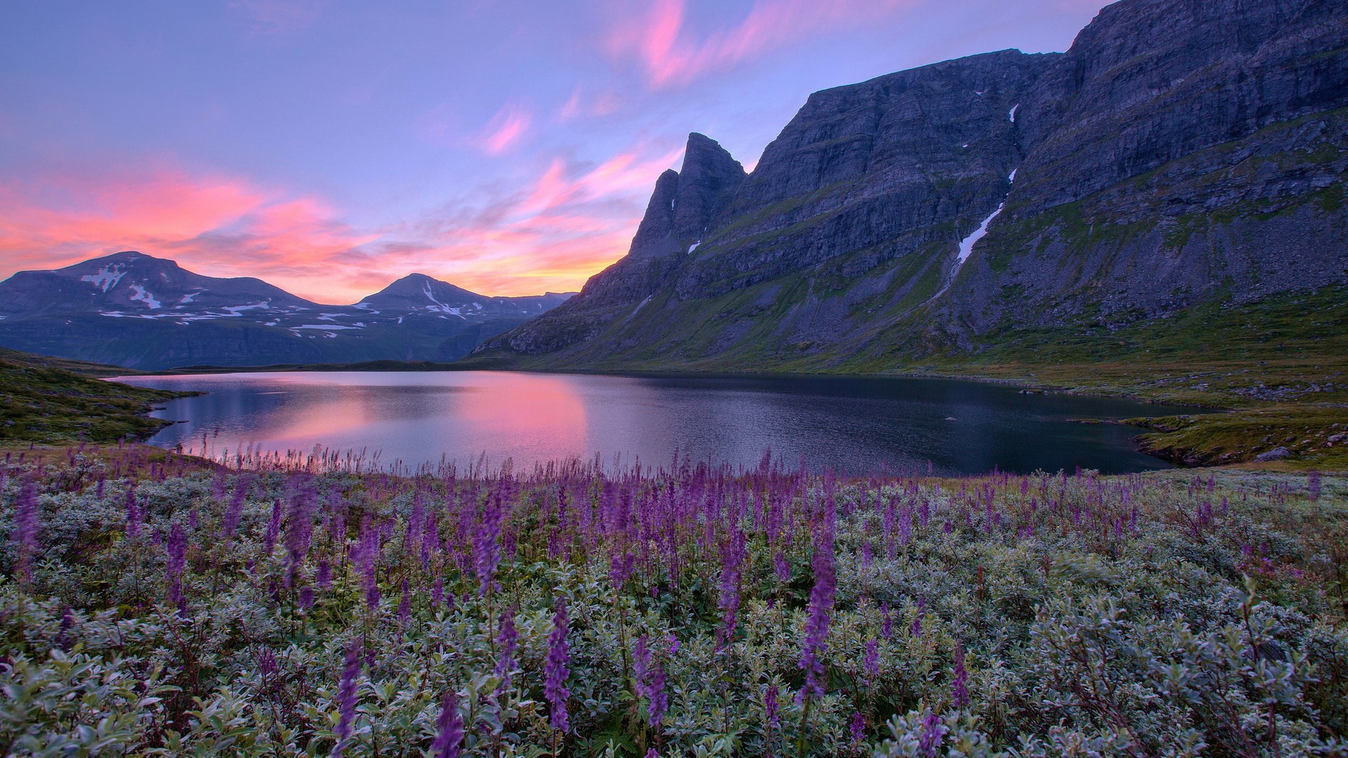 Lake and mountains at sunset with purple flowers HD Wallpaper